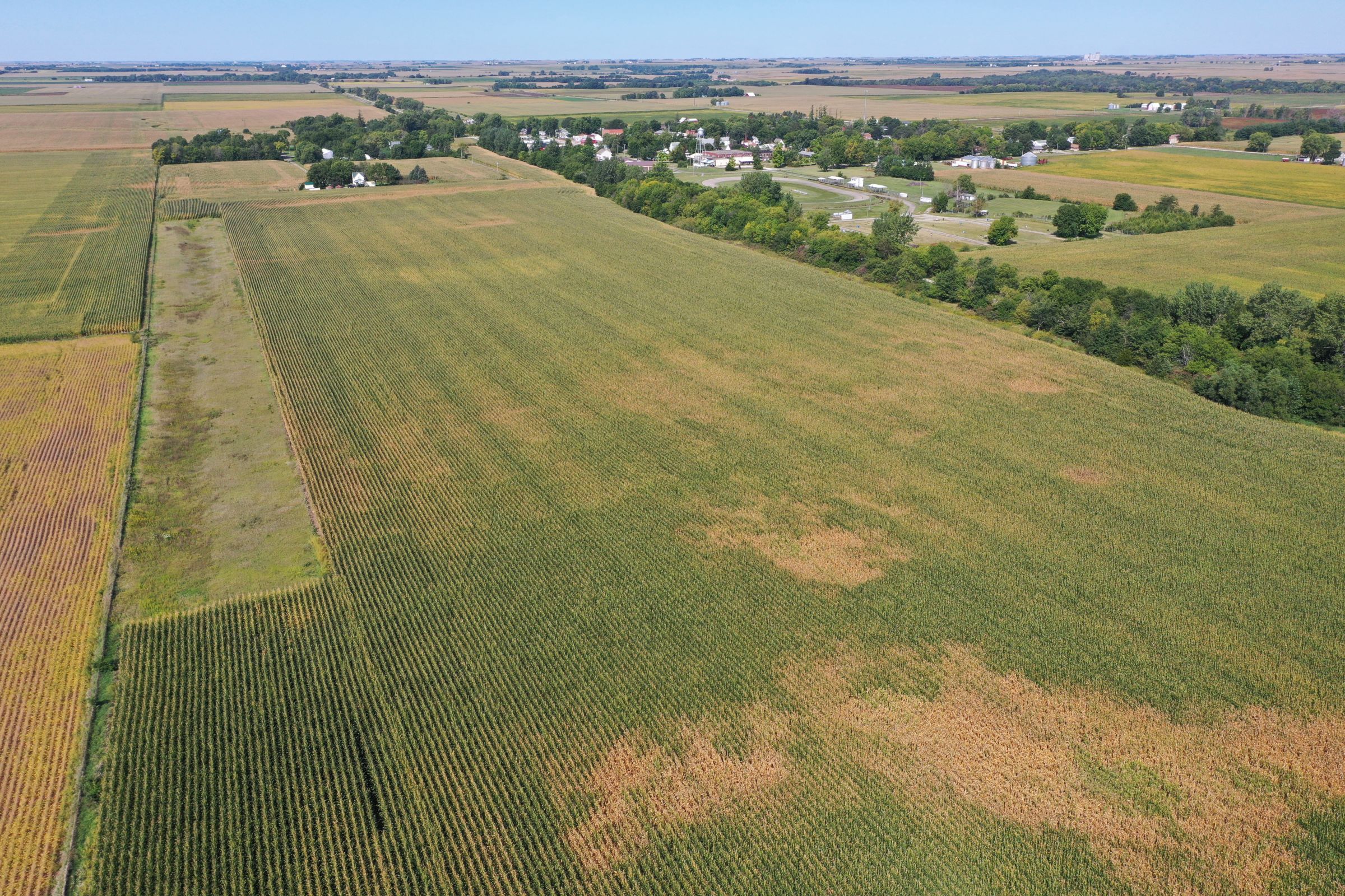 Guthrie County Iowa Farmland for Sale