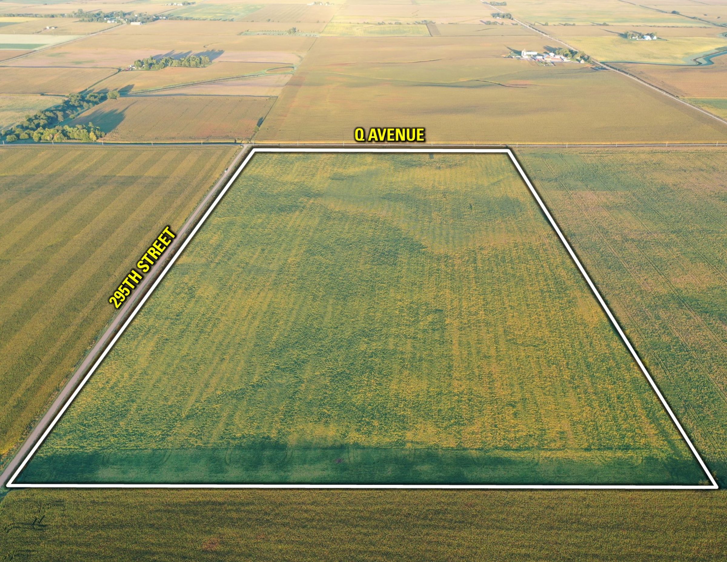 Greene County Iowa Farmland for Sale