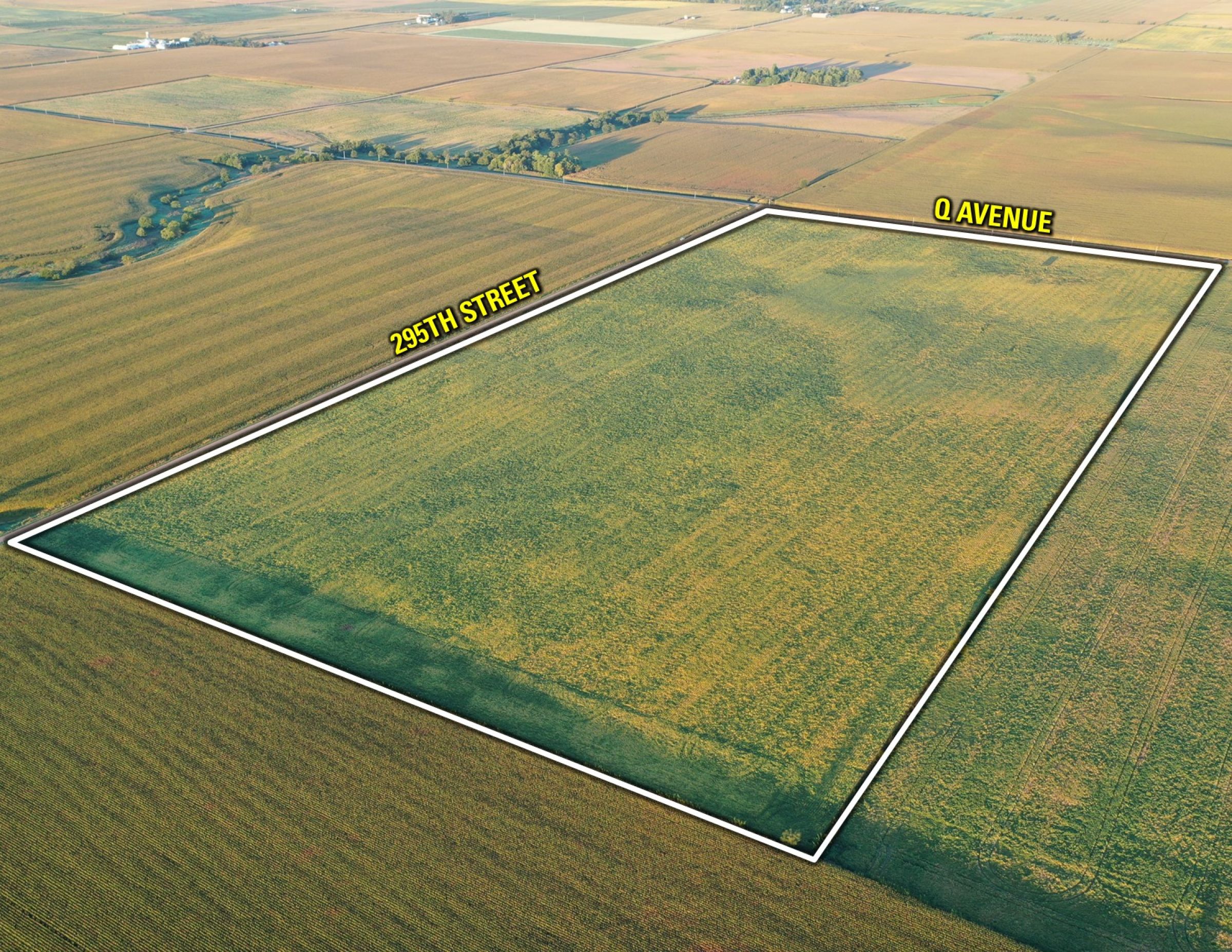 Greene County Iowa Farmland for Sale