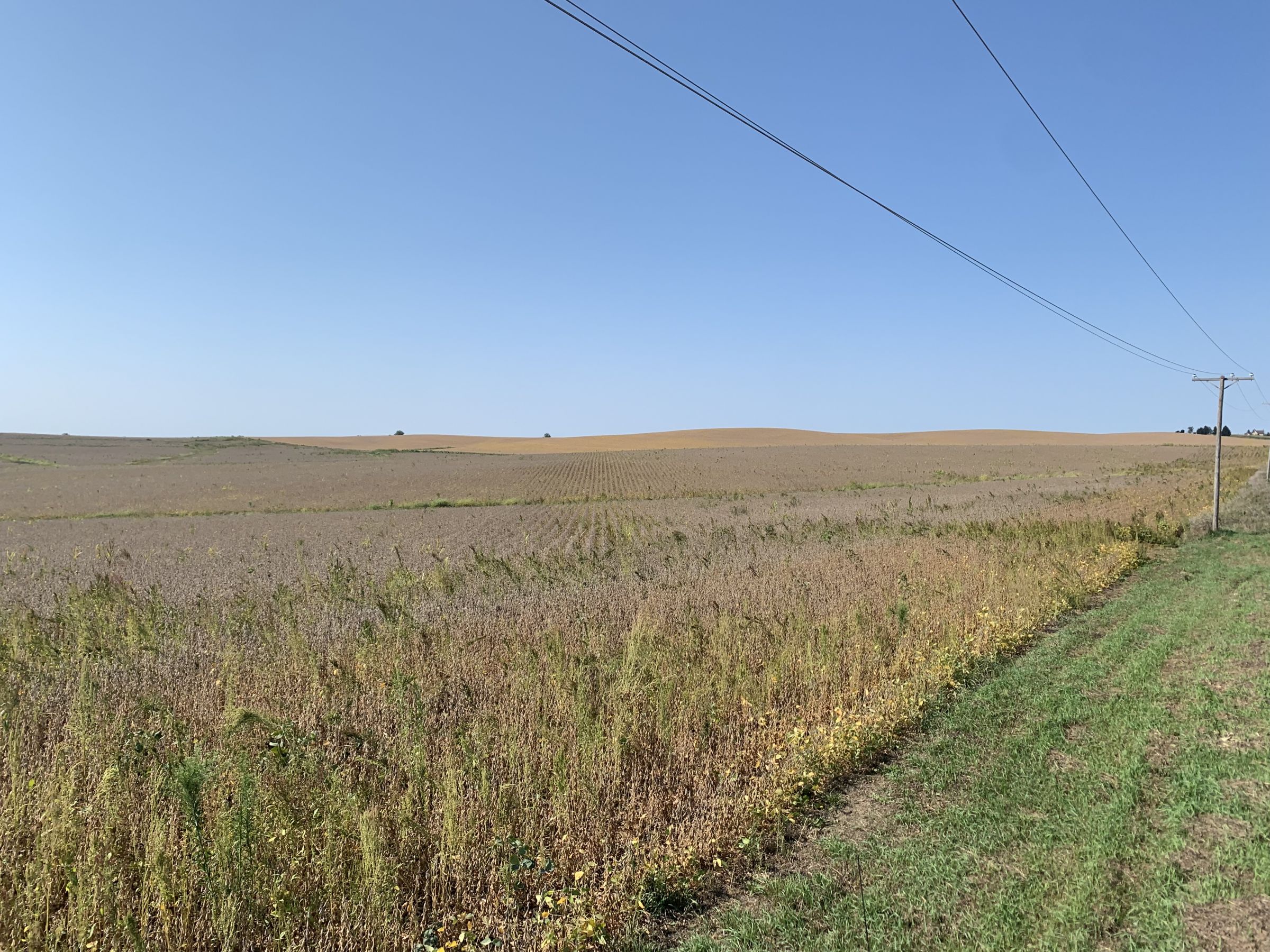 auctions-jackson-county-iowa-79-acres-listing-number-15751-3-2021-09-21-152722.jpg