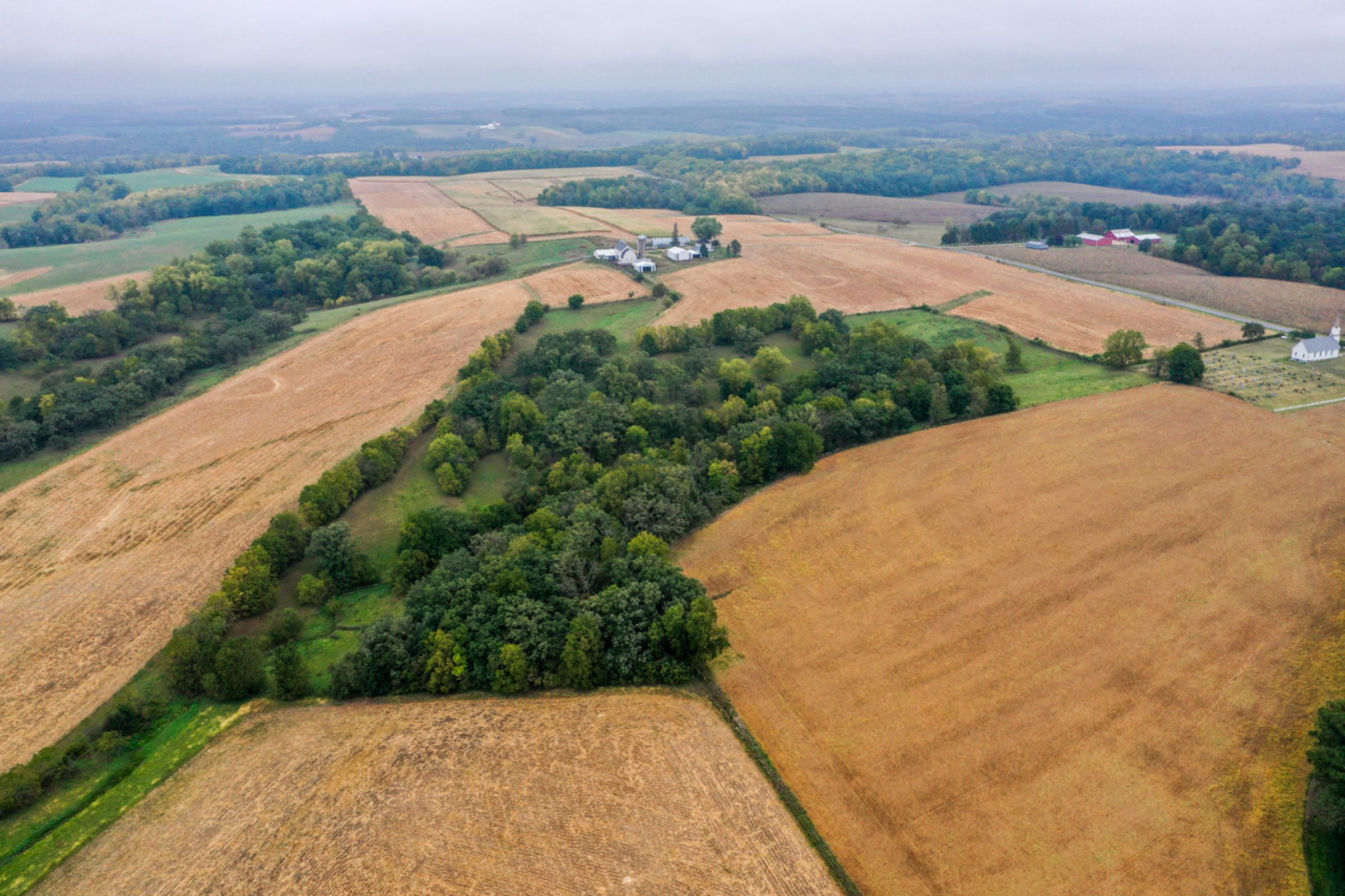 auctions-land-lafayette-county-wisconsin-138-acres-listing-number-15758-0-2021-09-21-155930.jpg