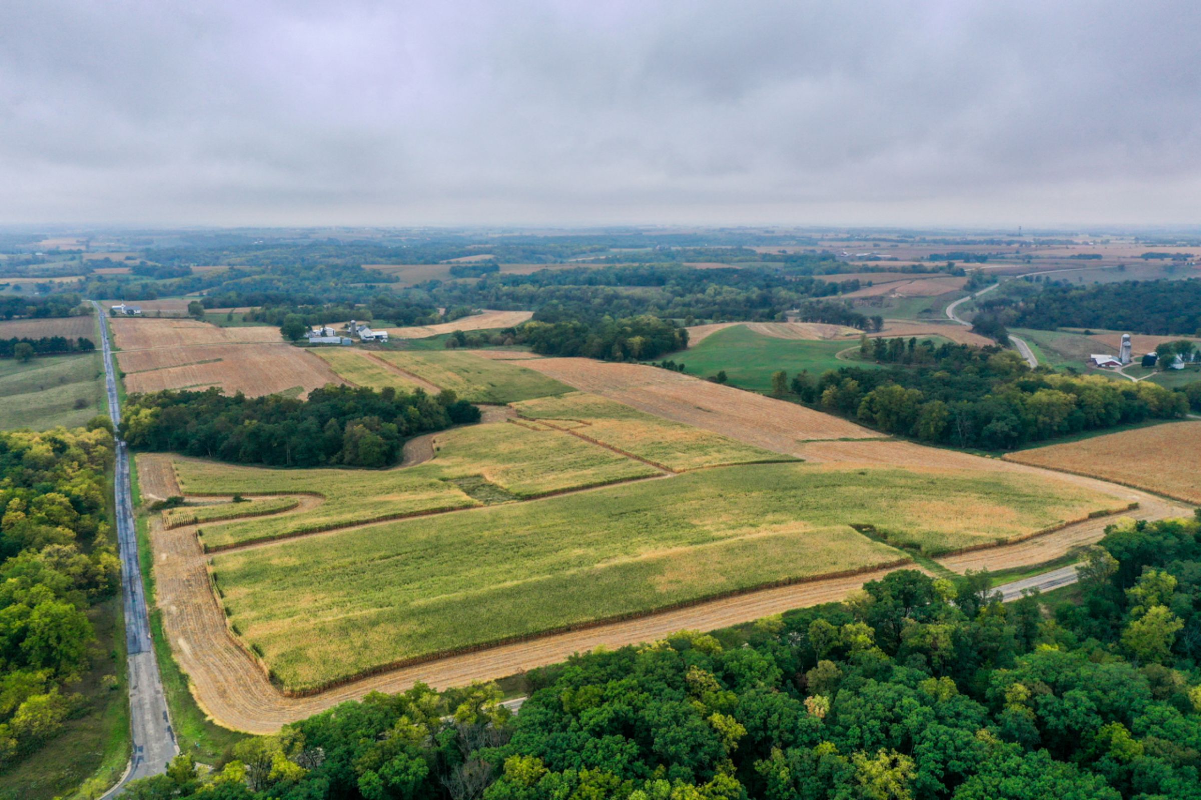 auctions-land-lafayette-county-wisconsin-138-acres-listing-number-15758-3-2021-09-21-155931.jpg