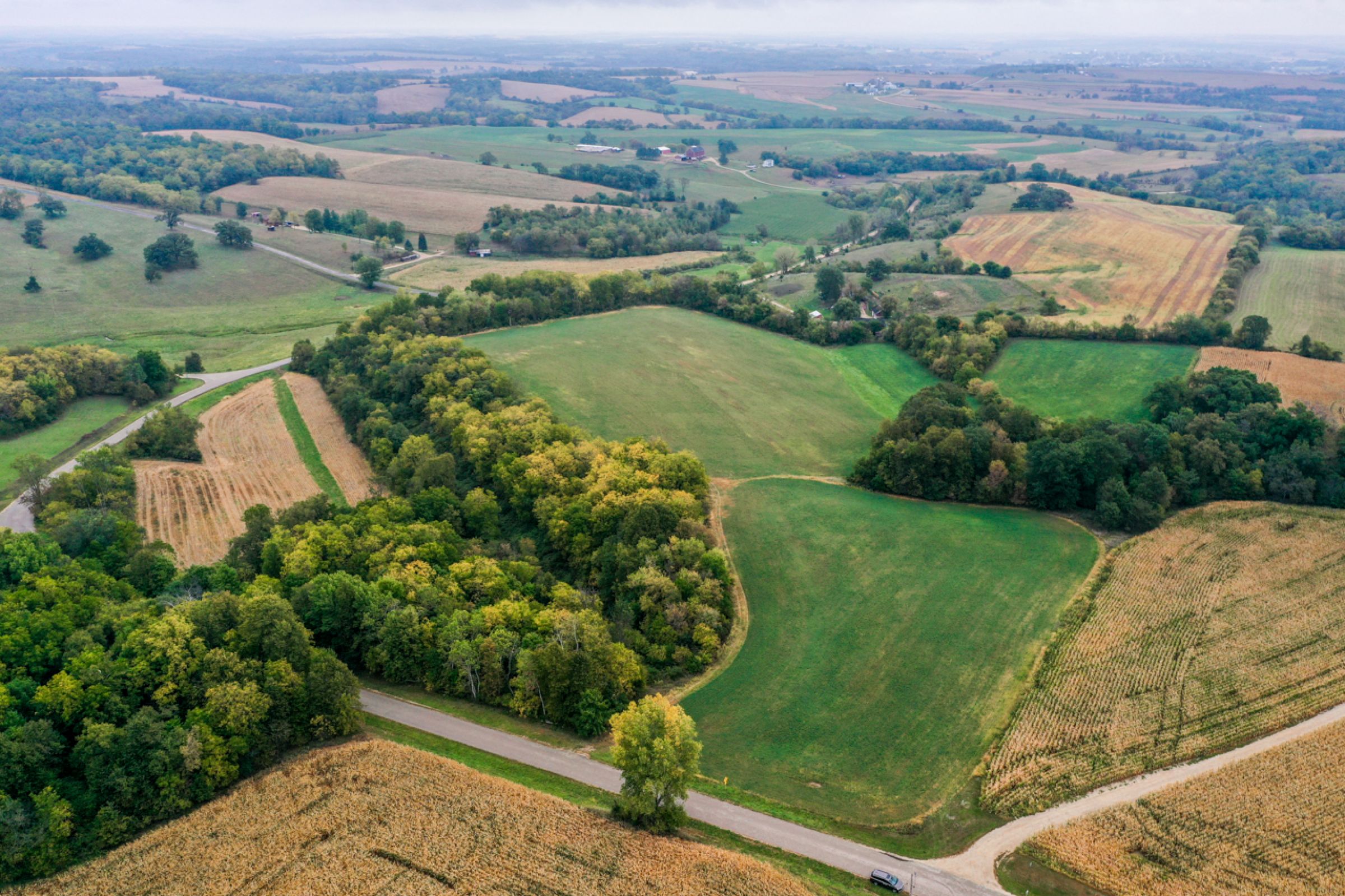 auctions-land-lafayette-county-wisconsin-138-acres-listing-number-15758-4-2021-09-21-155932.jpg