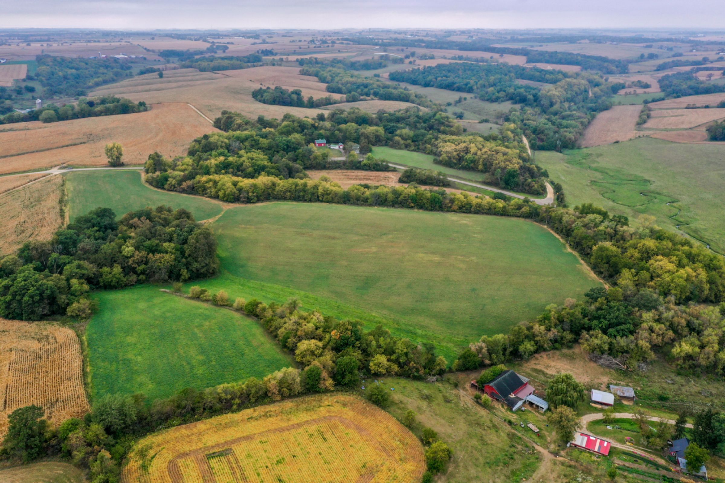 auctions-land-lafayette-county-wisconsin-138-acres-listing-number-15758-5-2021-09-21-155932.jpg