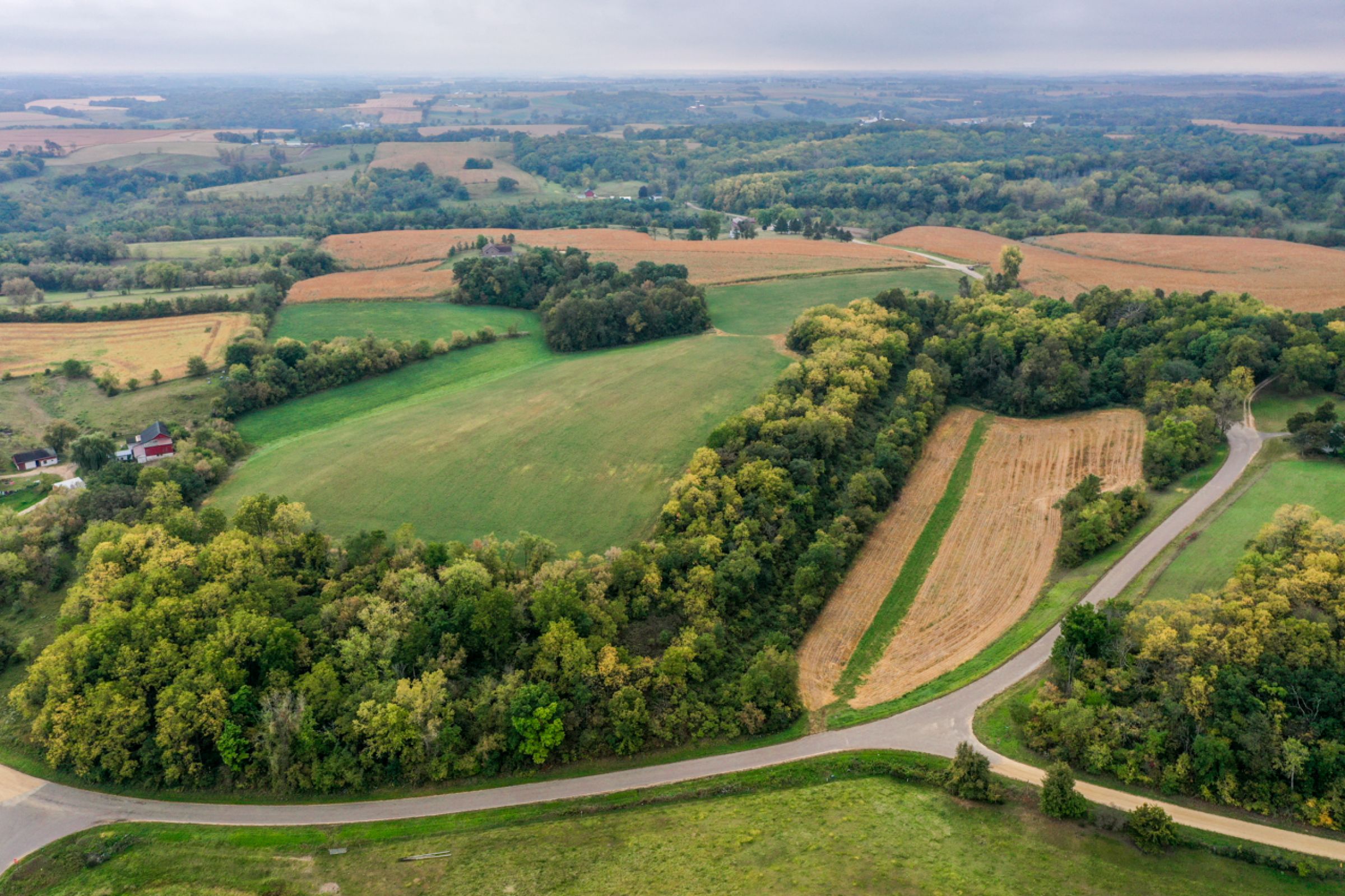 auctions-land-lafayette-county-wisconsin-138-acres-listing-number-15758-6-2021-09-21-155933.jpg