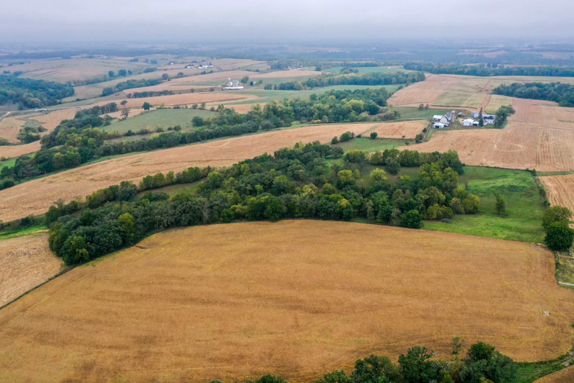 2-apple-grove-church-road-argyle-53504-0-2021-09-21-153556.jpg