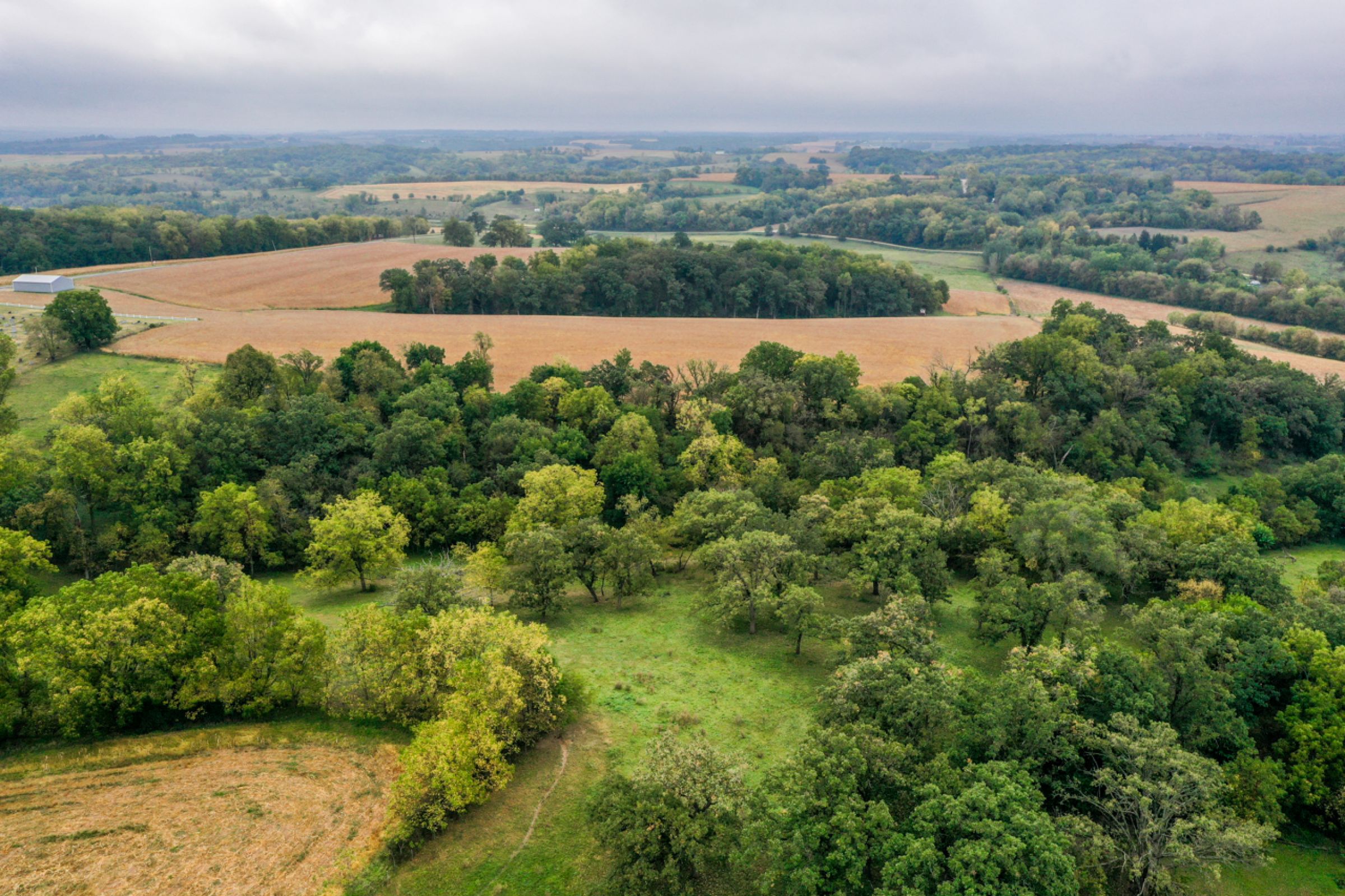 2-apple-grove-church-road-argyle-53504-6-2021-09-21-153559.jpg