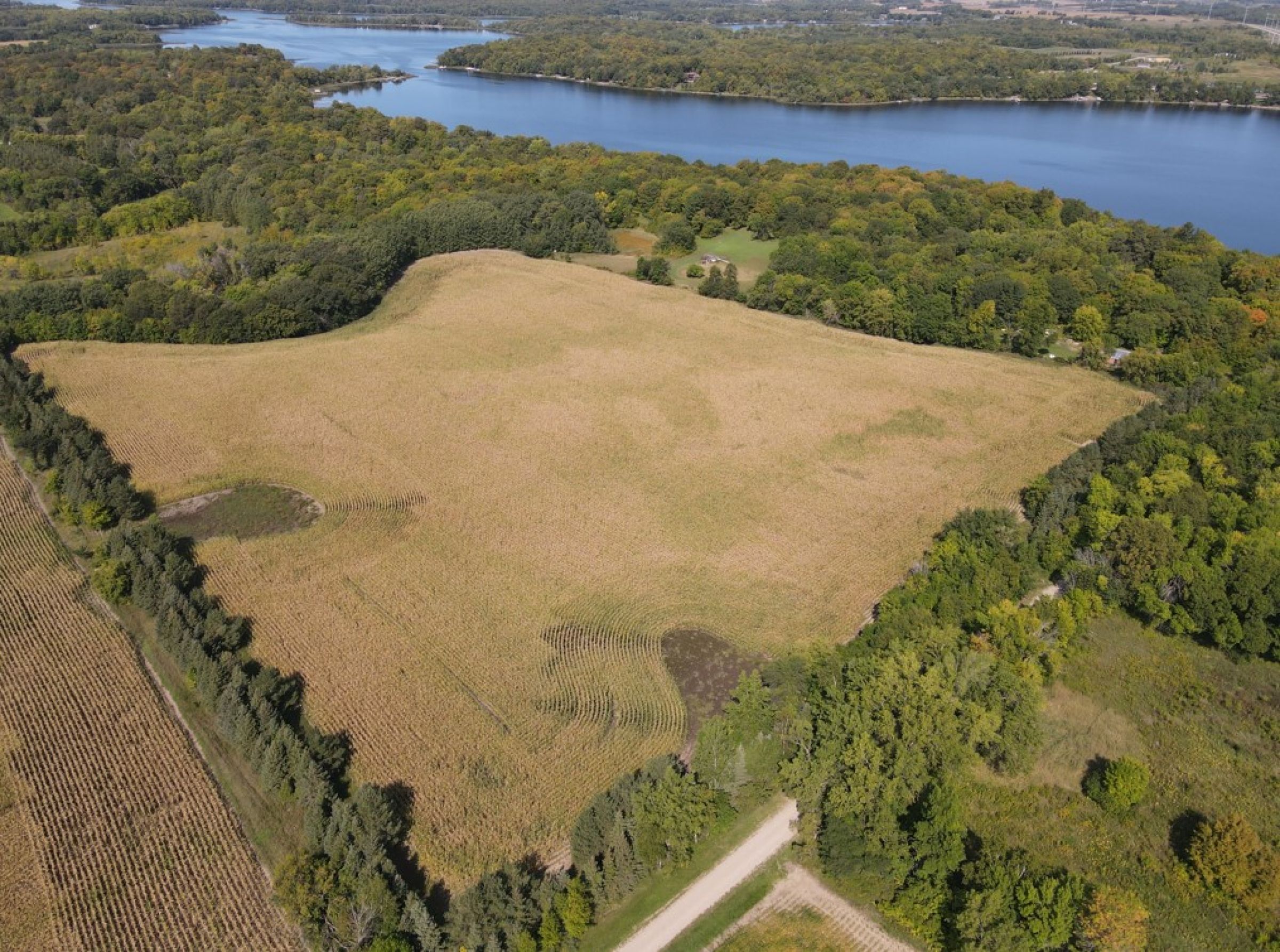 auctions-douglas-county-minnesota-40-acres-listing-number-15777-0-2021-09-24-193531.jpg