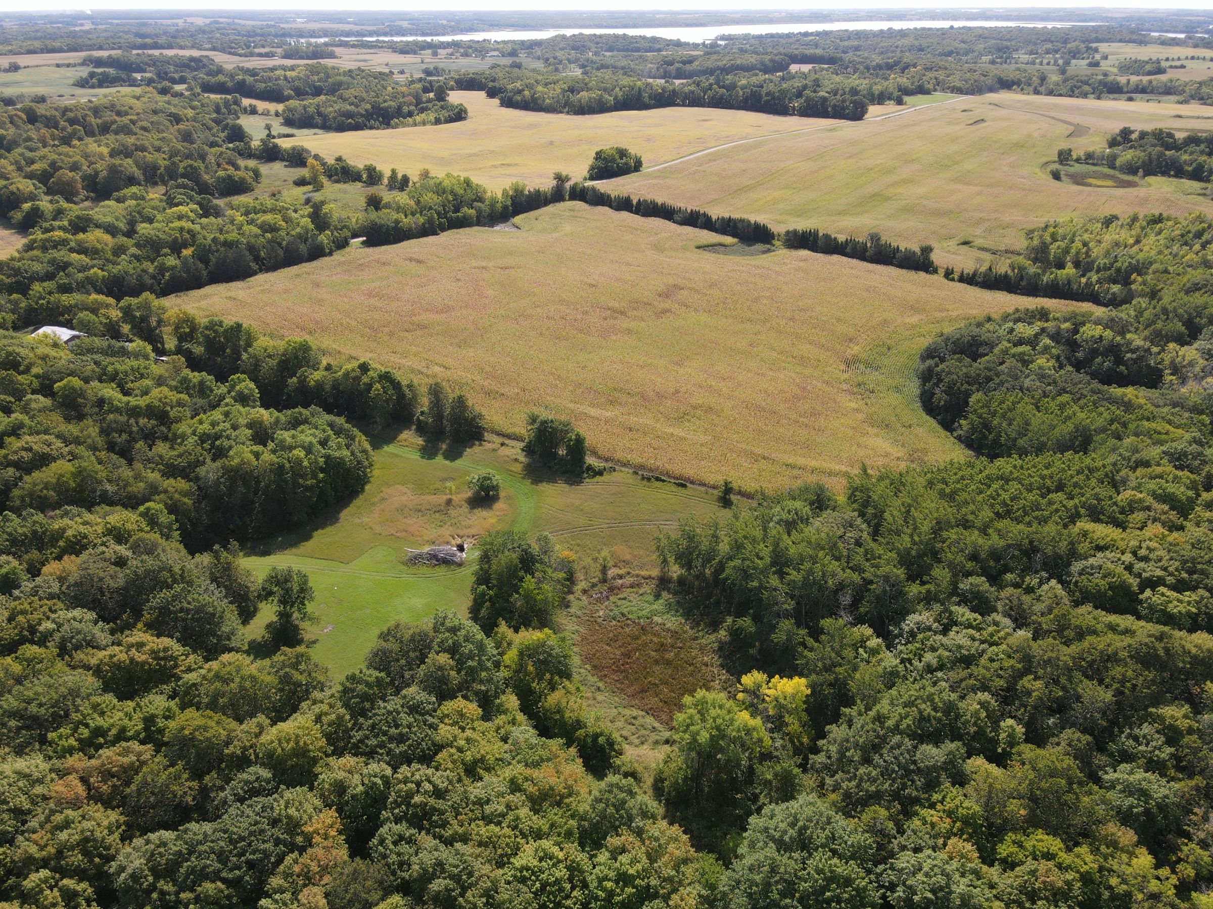 residential-auctions-development-land-commercial-douglas-county-minnesota-40-acres-listing-number-15777-0-2021-09-28-162325.JPG