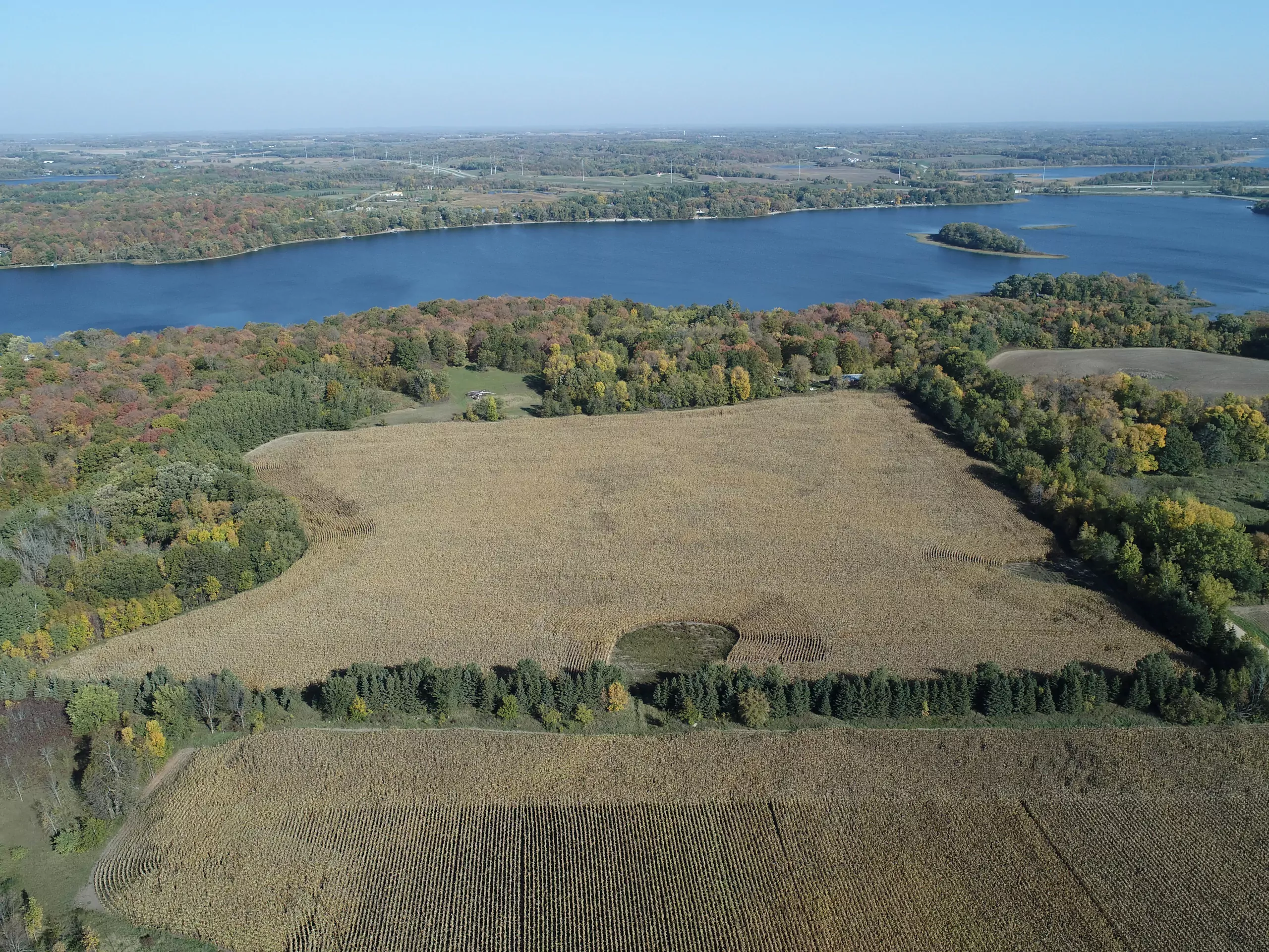 residential-auctions-land-commercial-douglas-county-minnesota-40-acres-listing-number-15777-field and lakeshore-0.webp