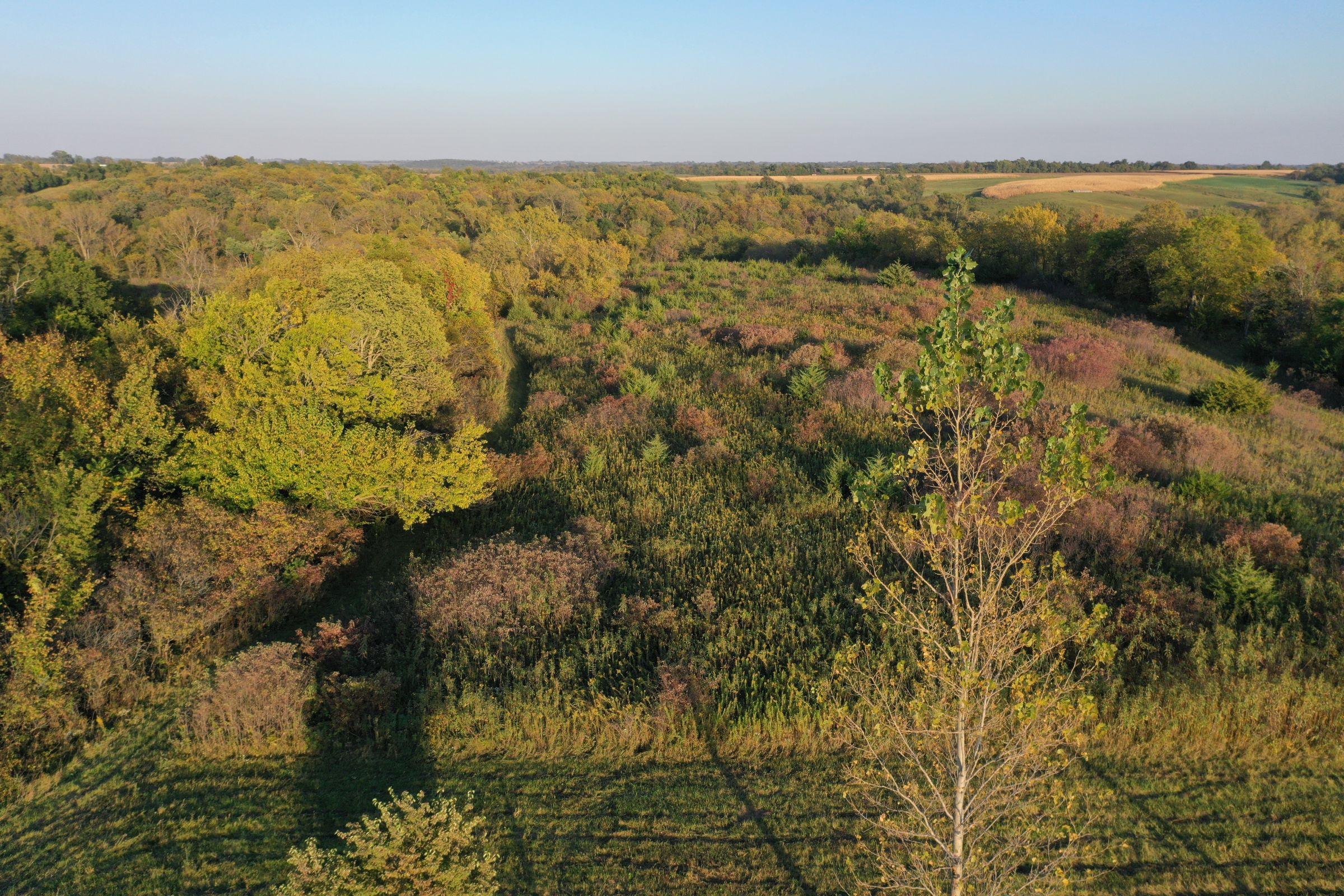 land-marion-county-iowa-45-acres-listing-number-15785-1-2021-09-29-162910.JPG