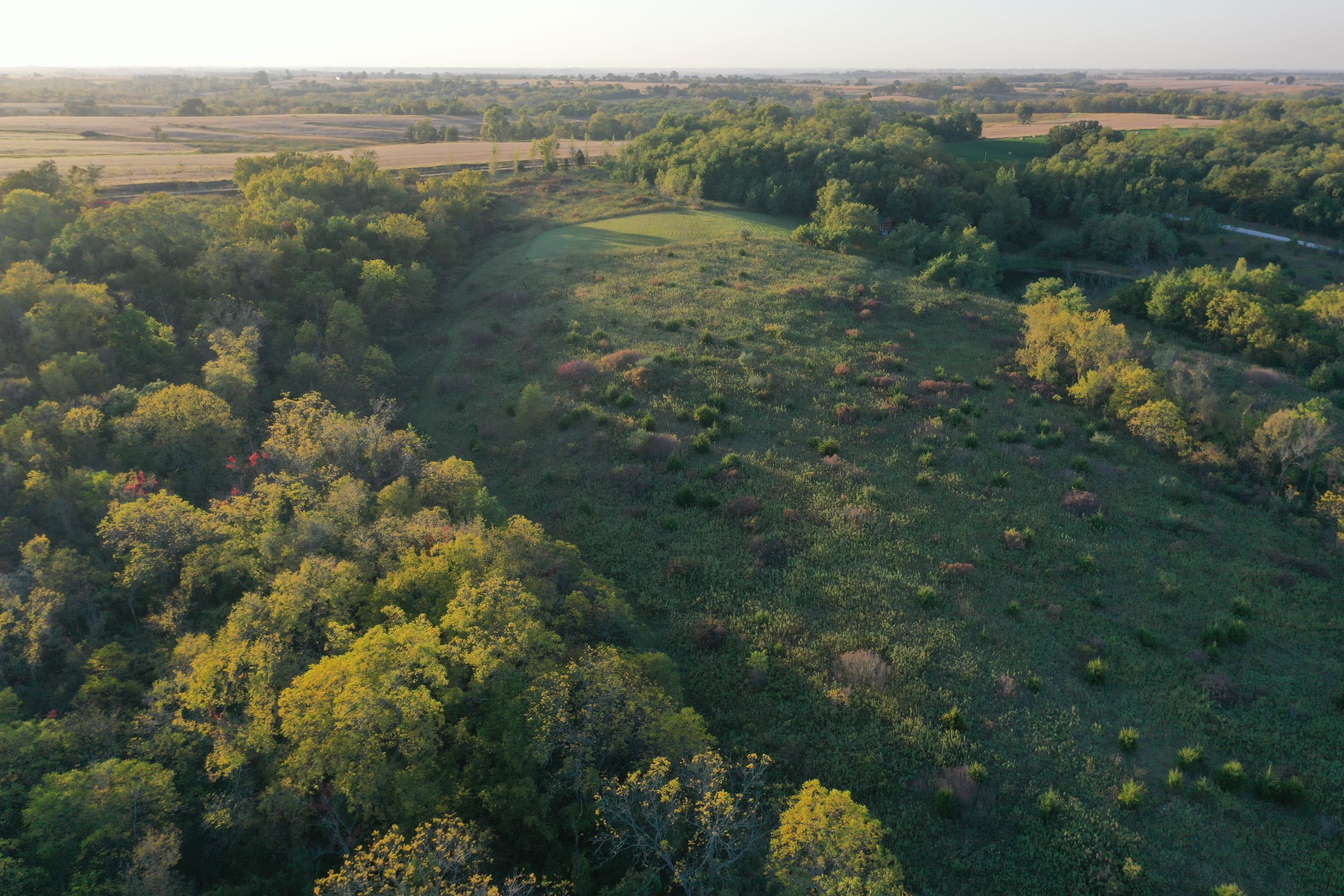 land-marion-county-iowa-45-acres-listing-number-15785-2-2021-09-29-162450.JPG