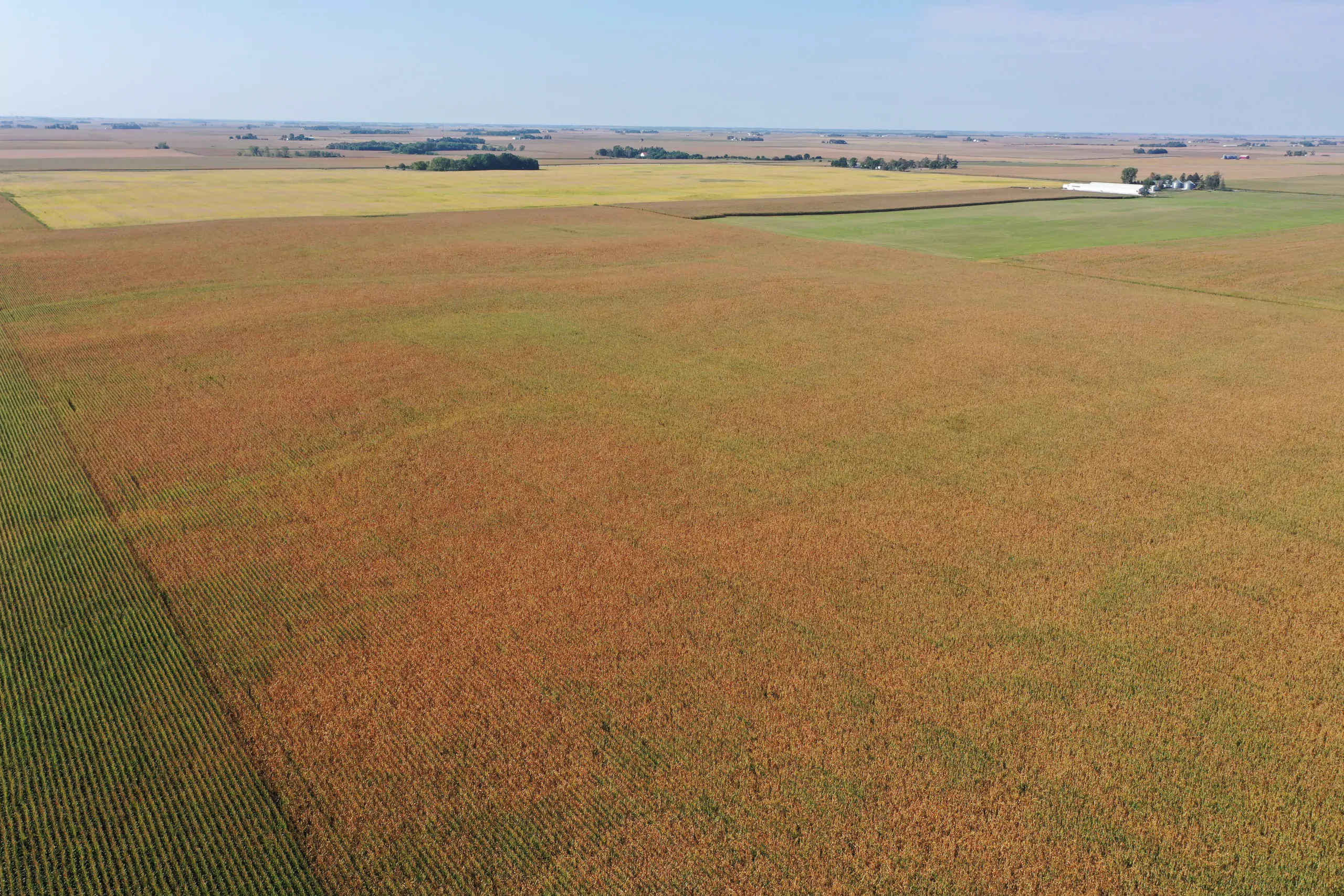 Major Dallas County Iowa Farmland Auction