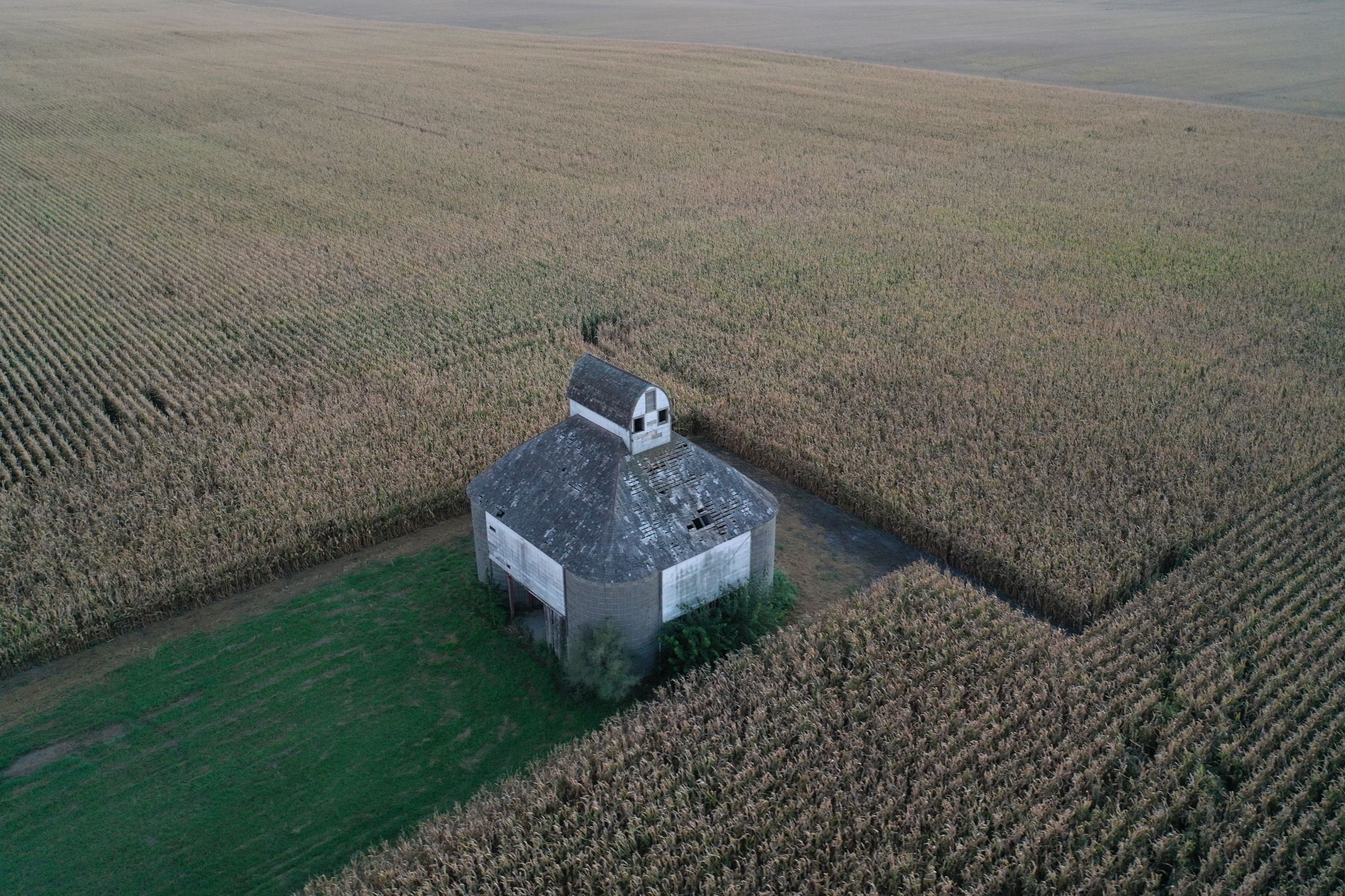 Major Dallas County Iowa Farmland for Sale