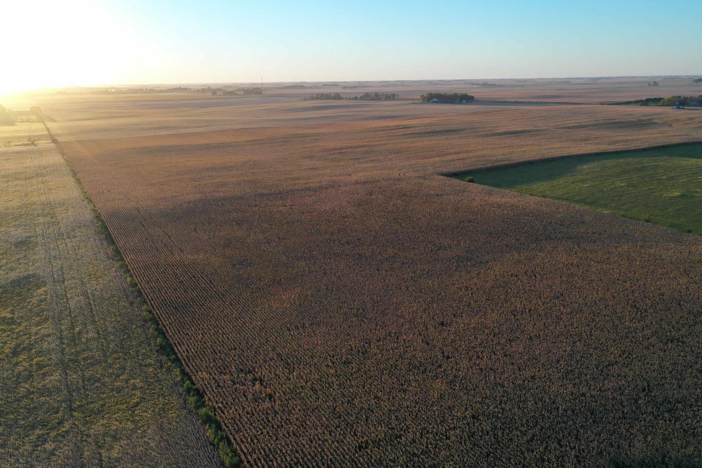 Major Dallas County Iowa Farmland for Sale