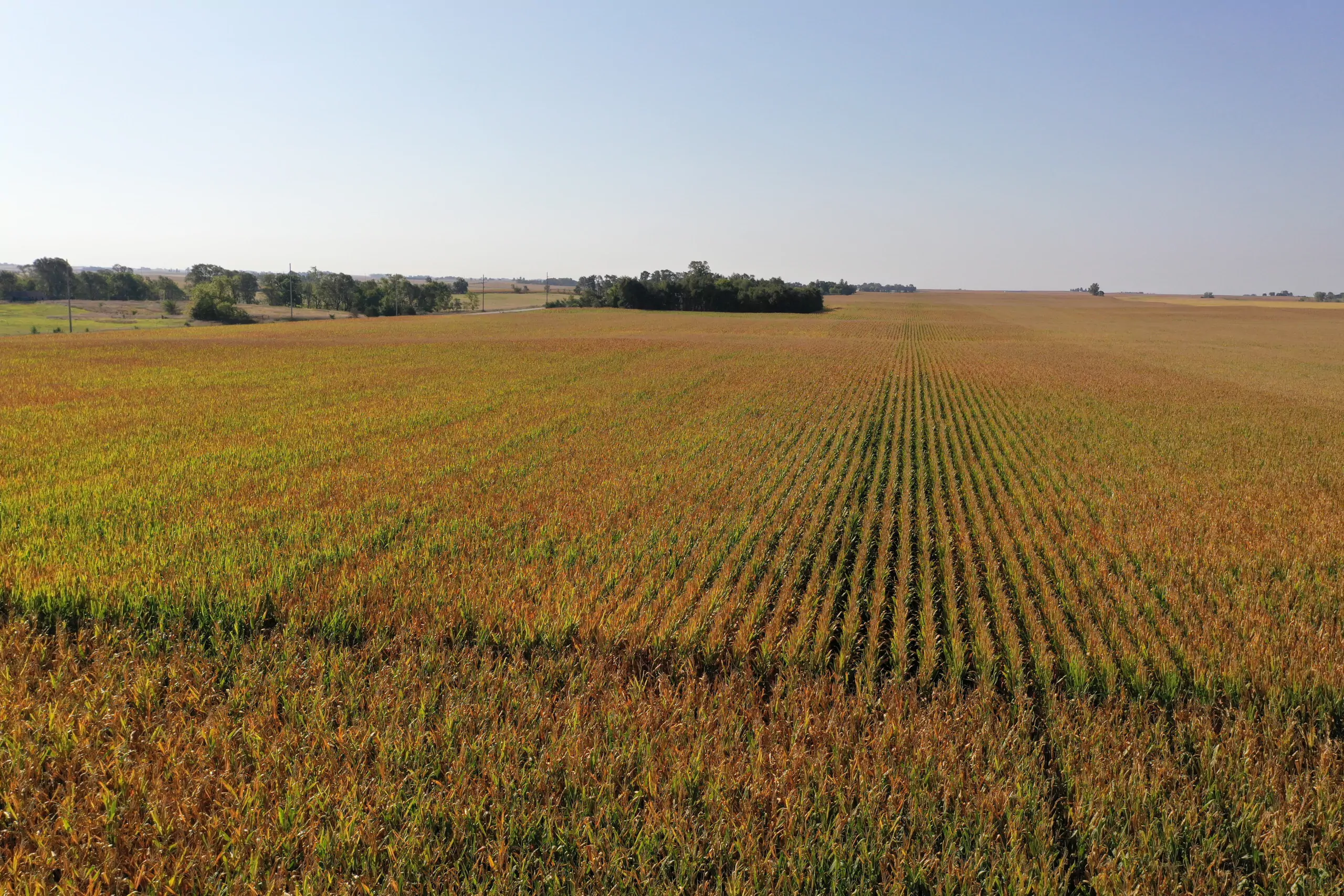 Major Dallas County Iowa Farmland for Sale