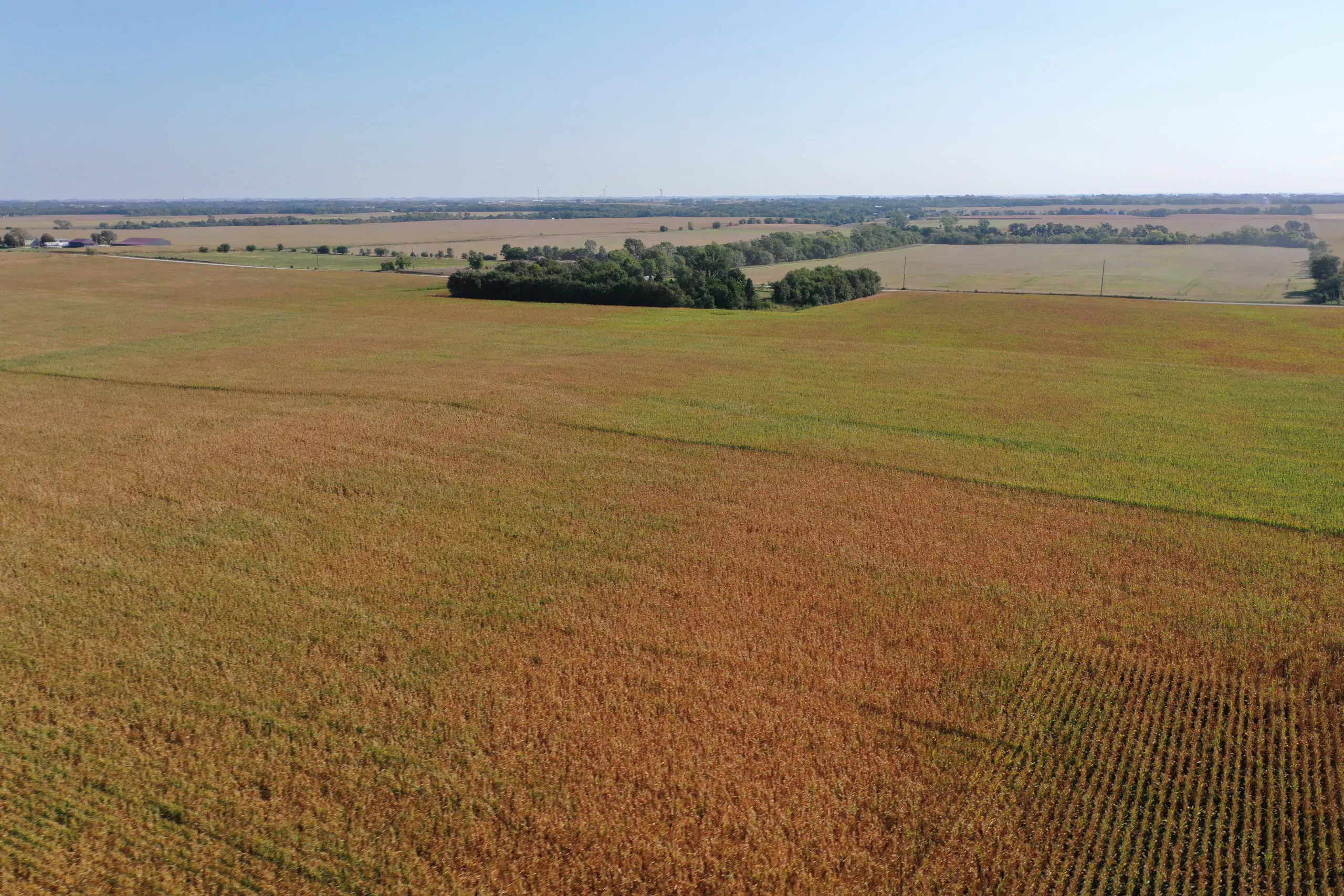 Major Dallas County Iowa Farmland for Sale