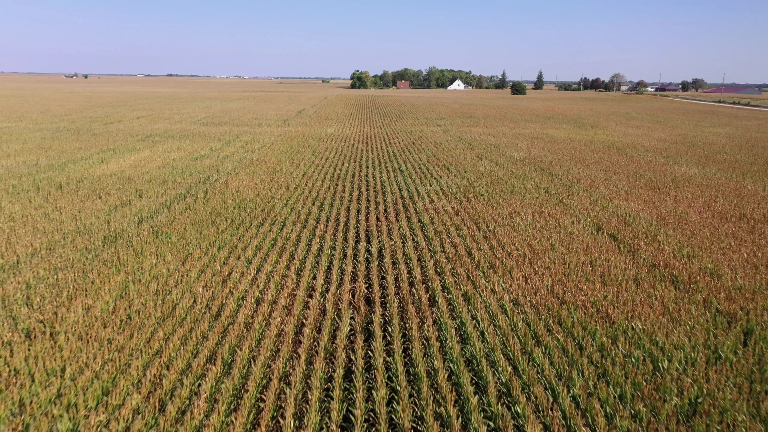 Major Dallas County Iowa Farmland for Sale