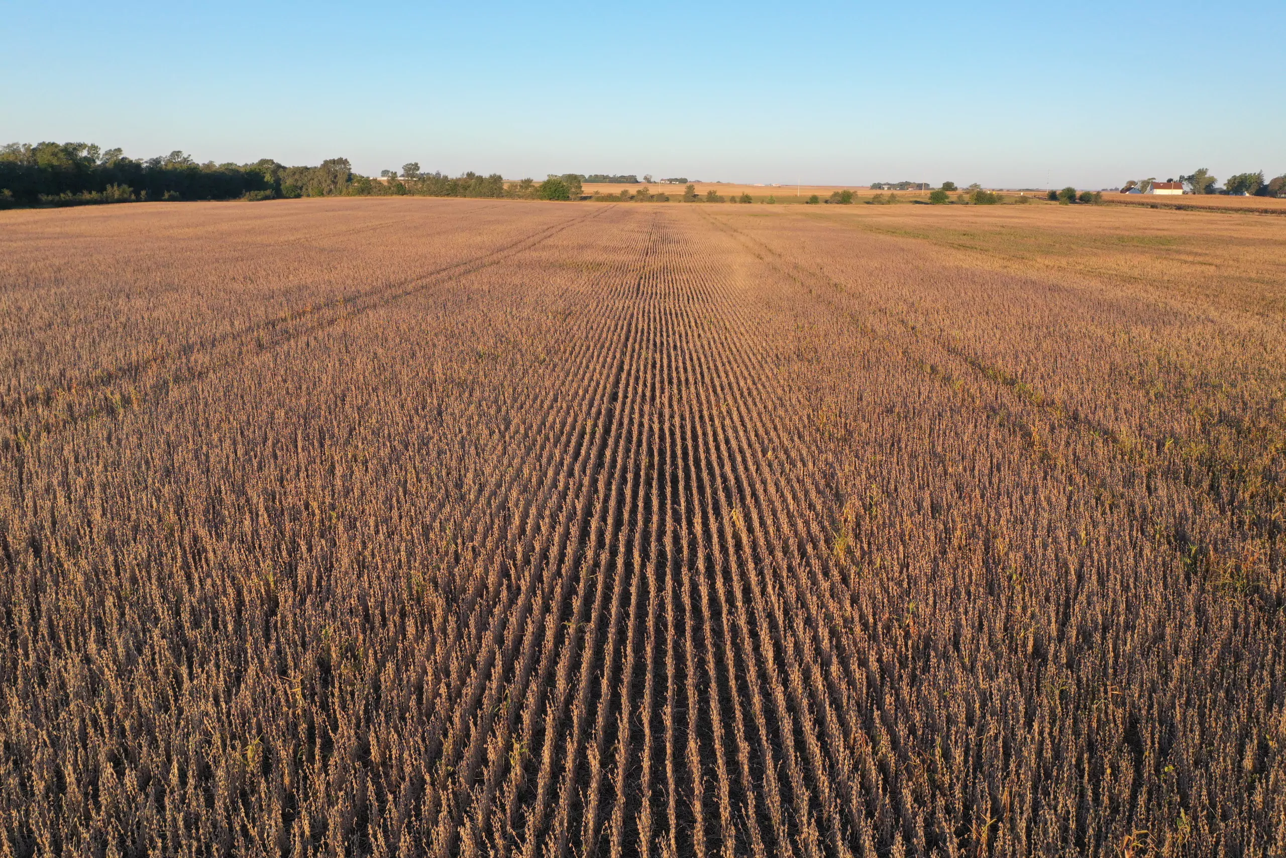 Major Dallas County Iowa Farmland for Sale