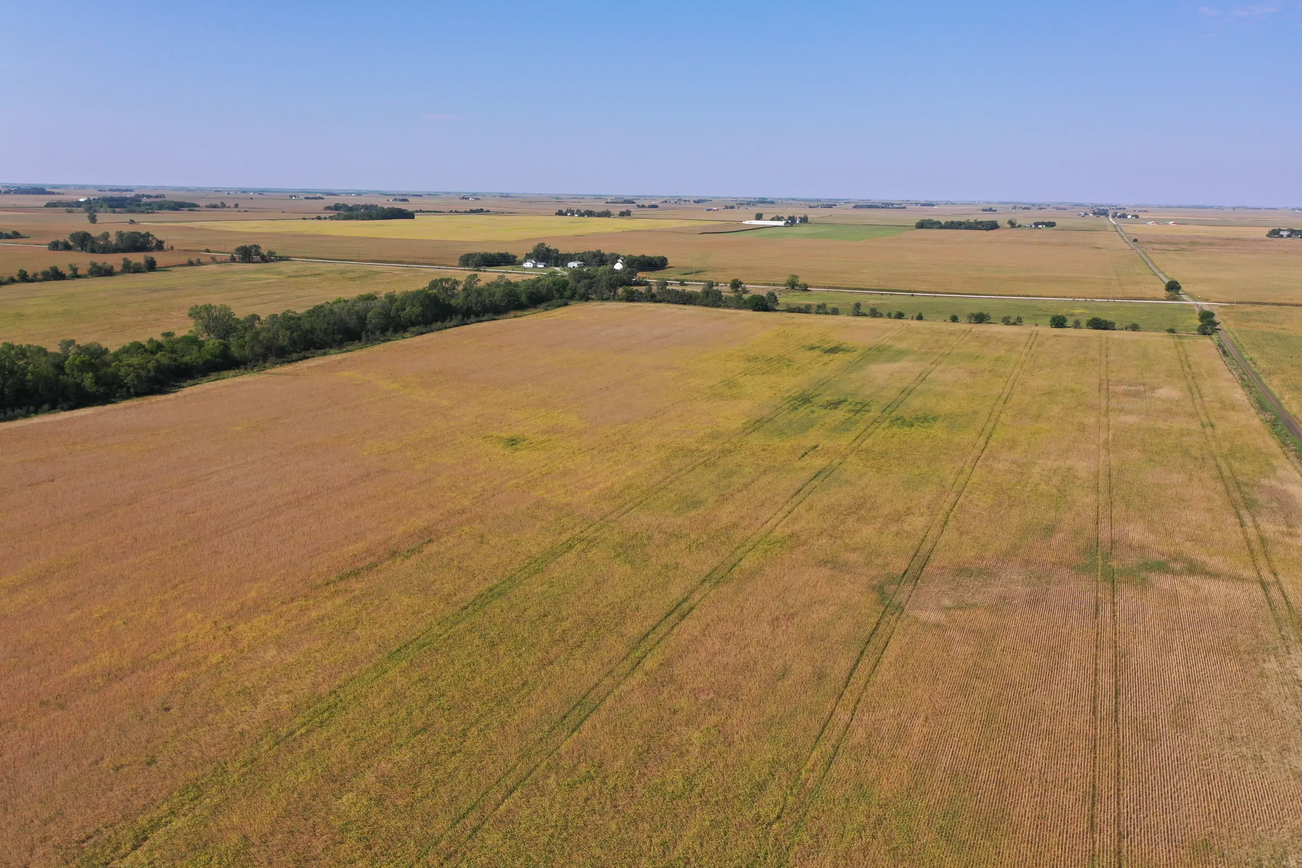 Major Dallas County Iowa Farmland for Sale