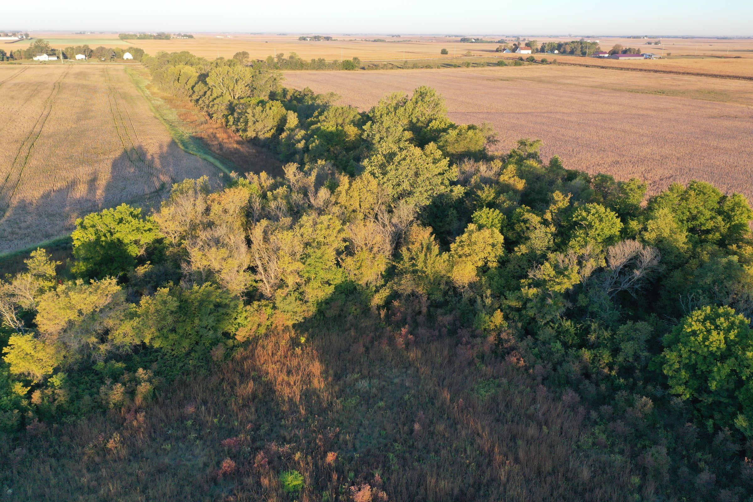 Major Dallas County Iowa Farmland For Sale