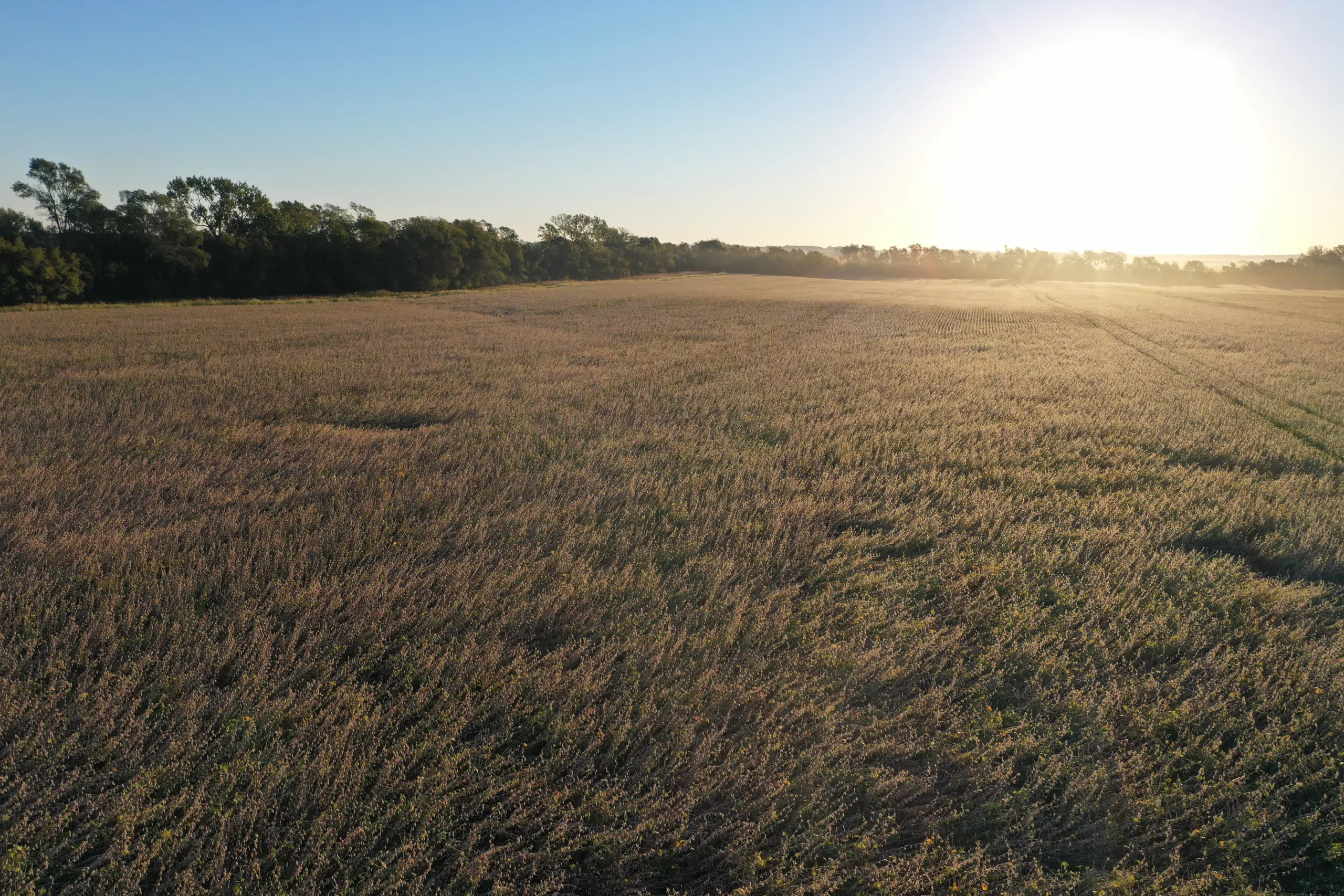 Major Dallas County Iowa Farmland For Sale