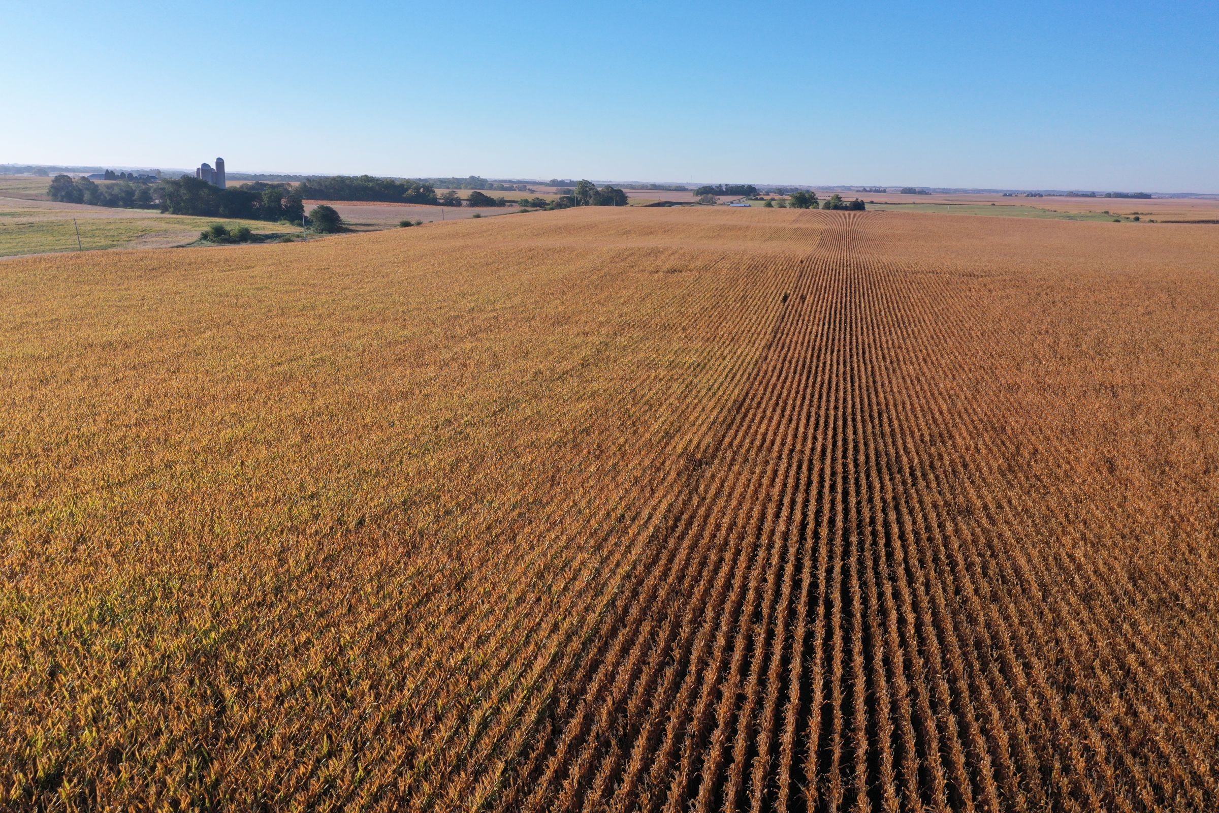 Major Dallas County Iowa Farmland for Sale