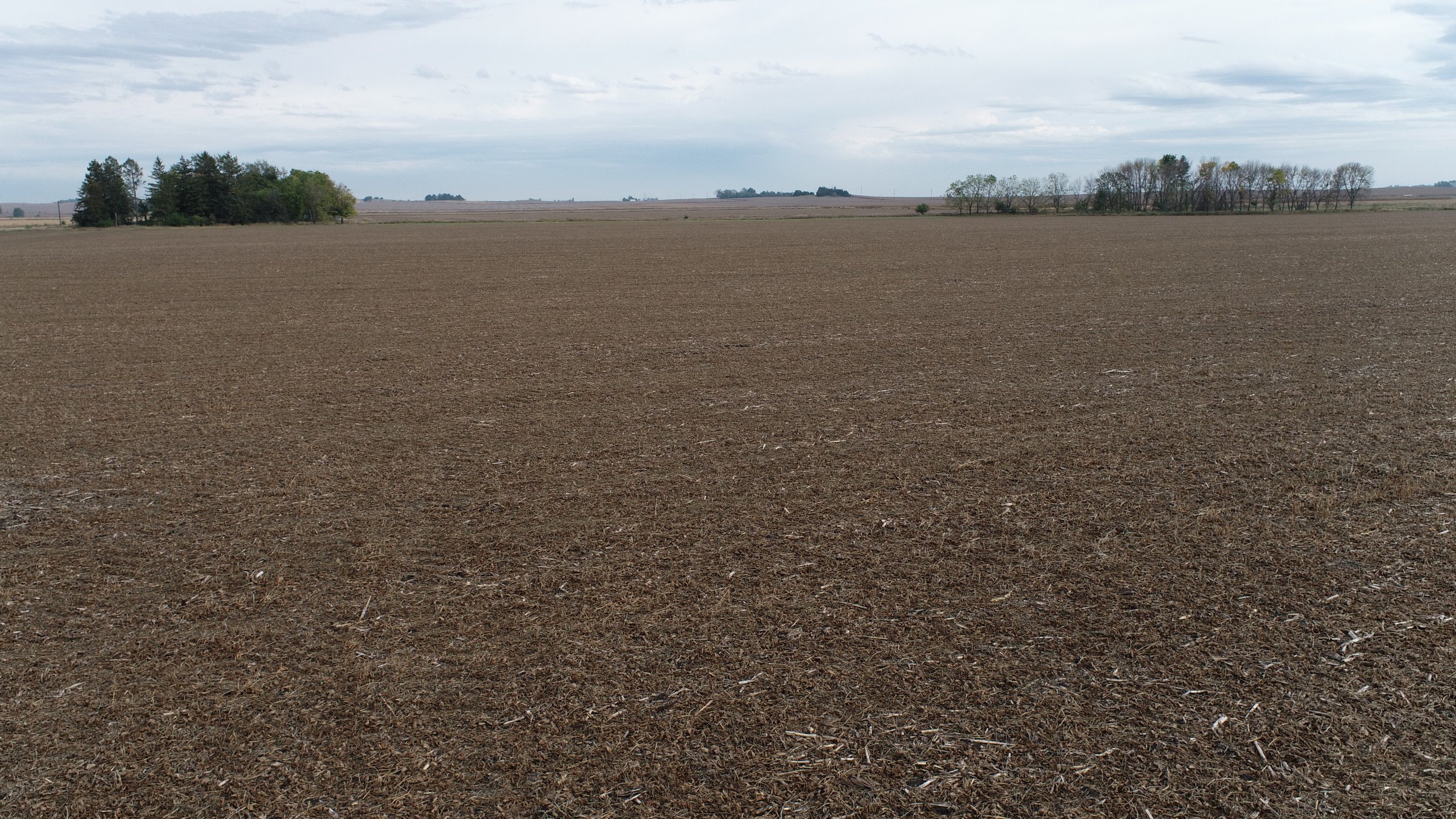 auctions-clinton-county-iowa-80-acres-listing-number-15792-DJI_0091-3.jpg