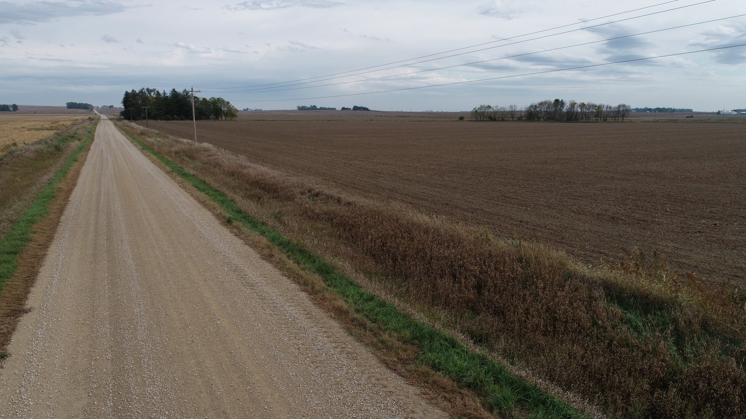 auctions-clinton-county-iowa-80-acres-listing-number-15792-DJI_0092-4.jpg