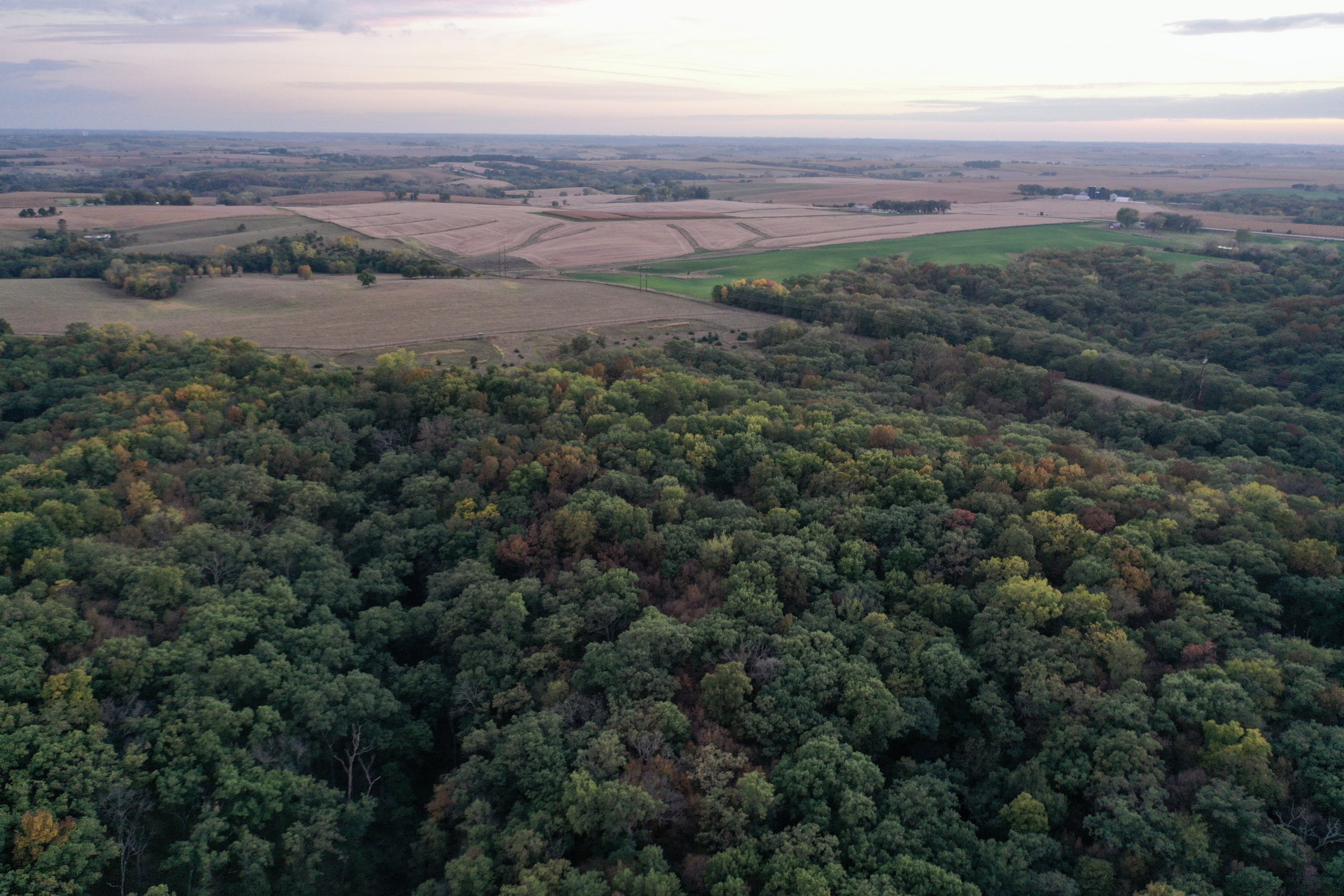 land-guthrie-county-iowa-64-acres-listing-number-15795-IMG_9246-1.jpg