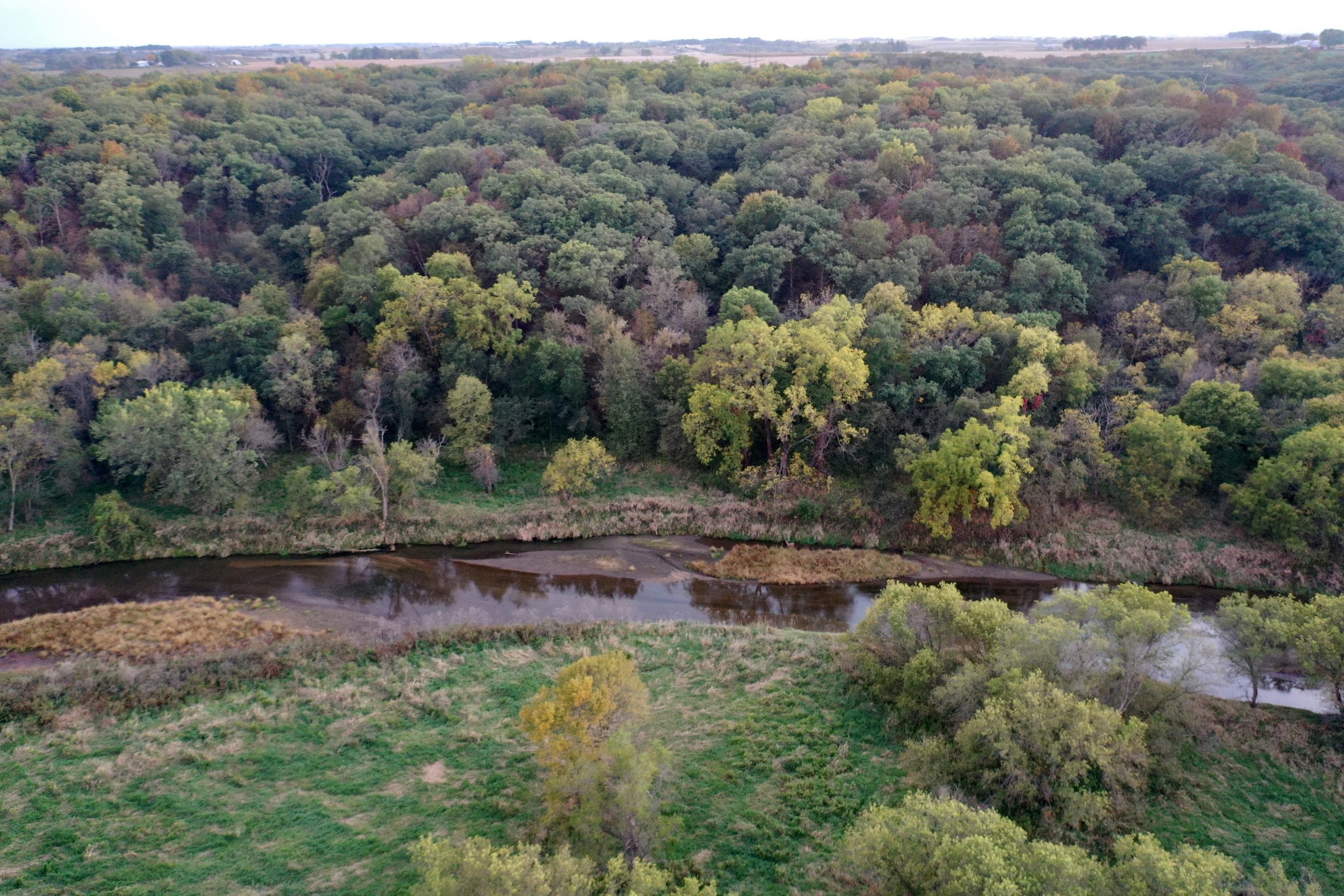 land-guthrie-county-iowa-64-acres-listing-number-15795-IMG_9248-3.jpg