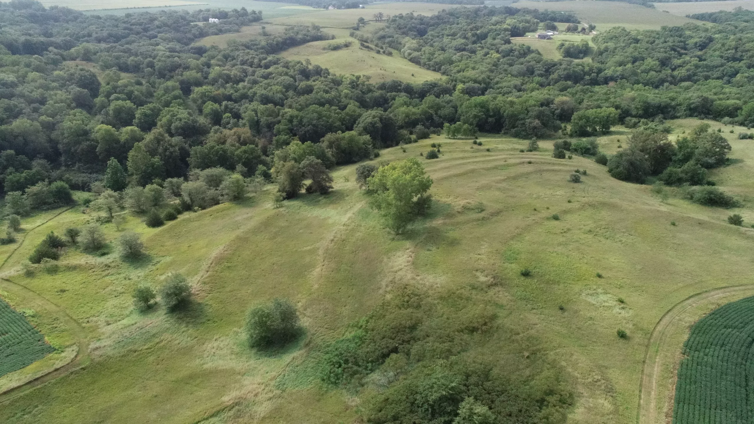 land-atchison-county-missouri-130-acres-listing-number-15796-DJI_0026 (1)-3.webp