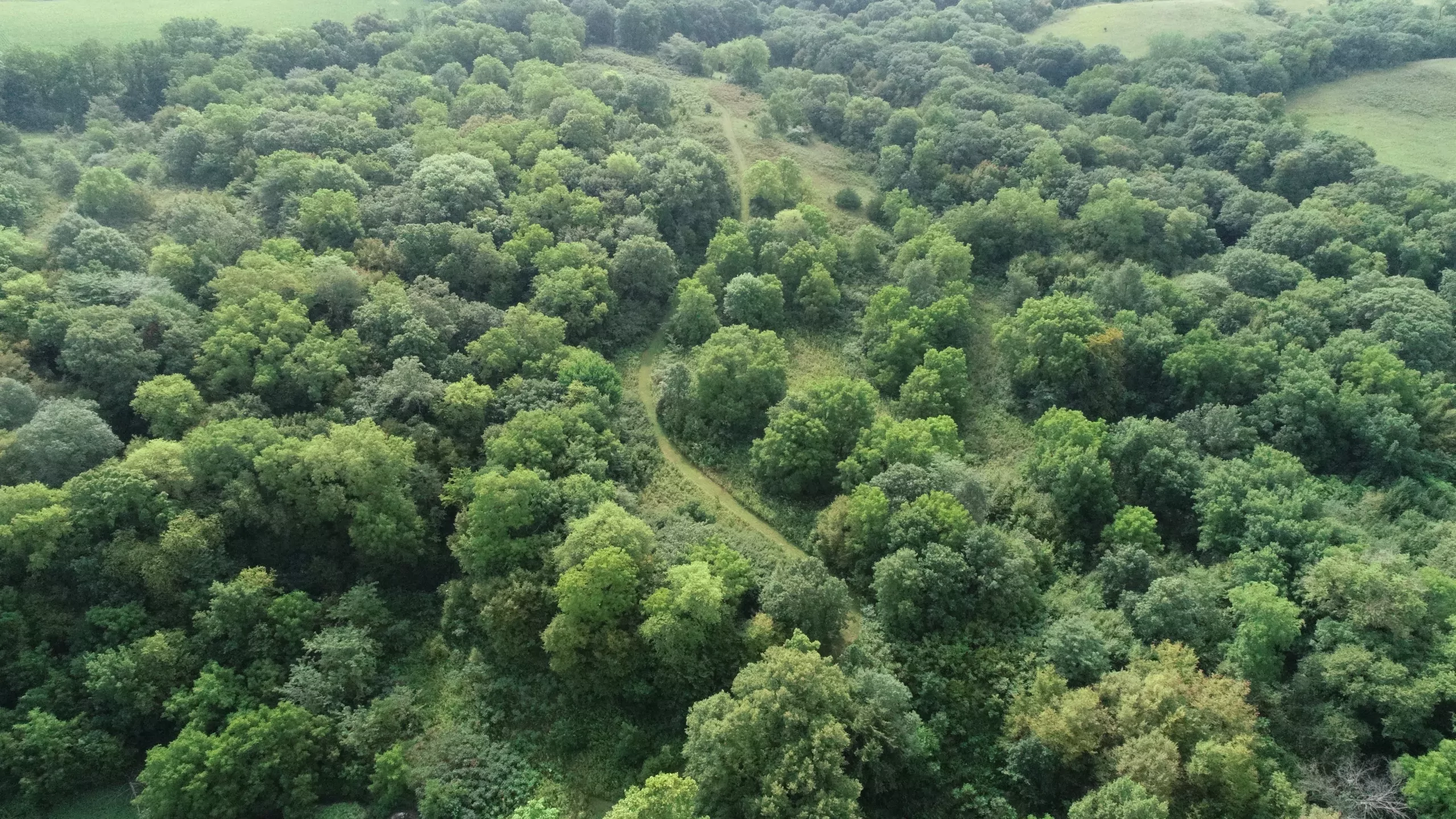 land-atchison-county-missouri-130-acres-listing-number-15796-DJI_0027 (1)-0.webp