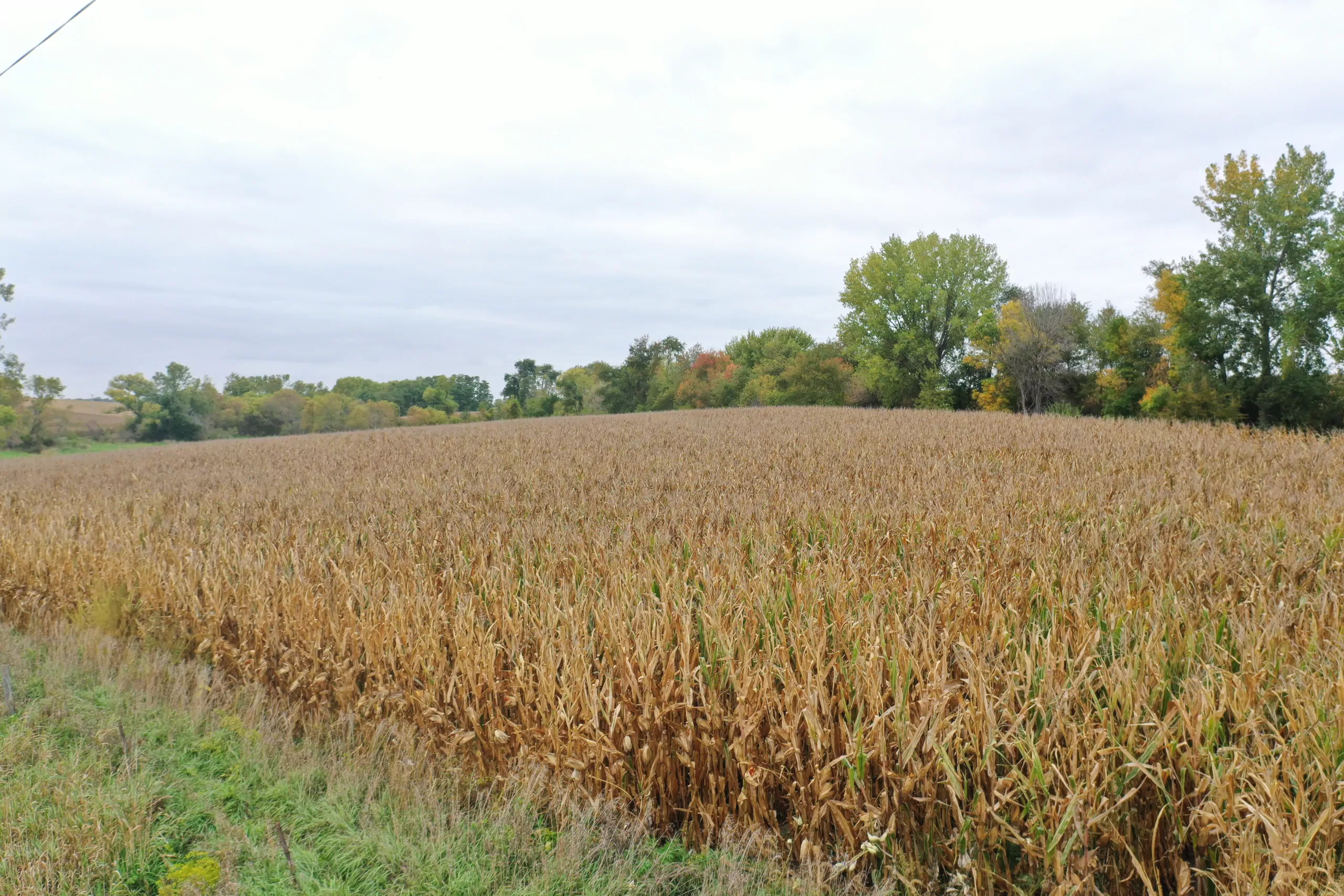 auctions-land-grundy-county-iowa-71-acres-listing-number-15798-DJI_0530-0.webp