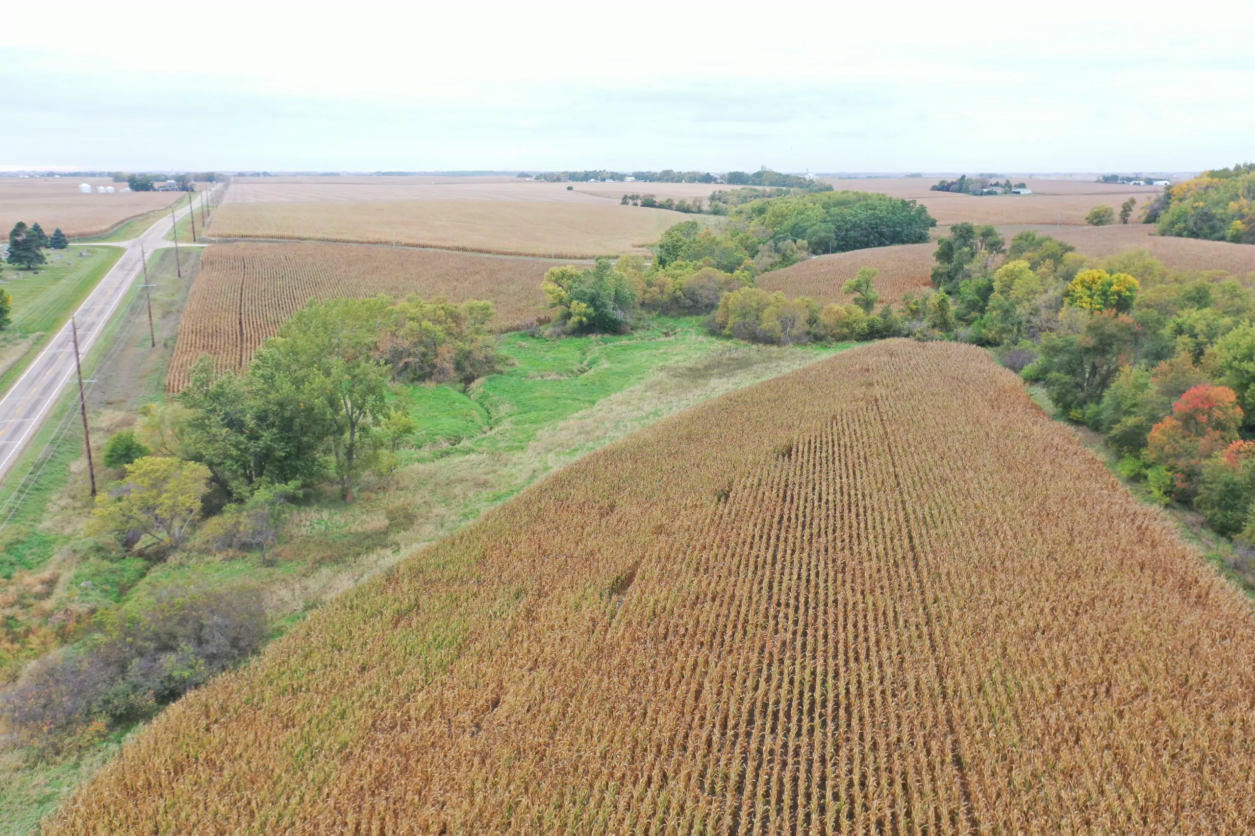 auctions-land-grundy-county-iowa-71-acres-listing-number-15798-DJI_0531-1.webp