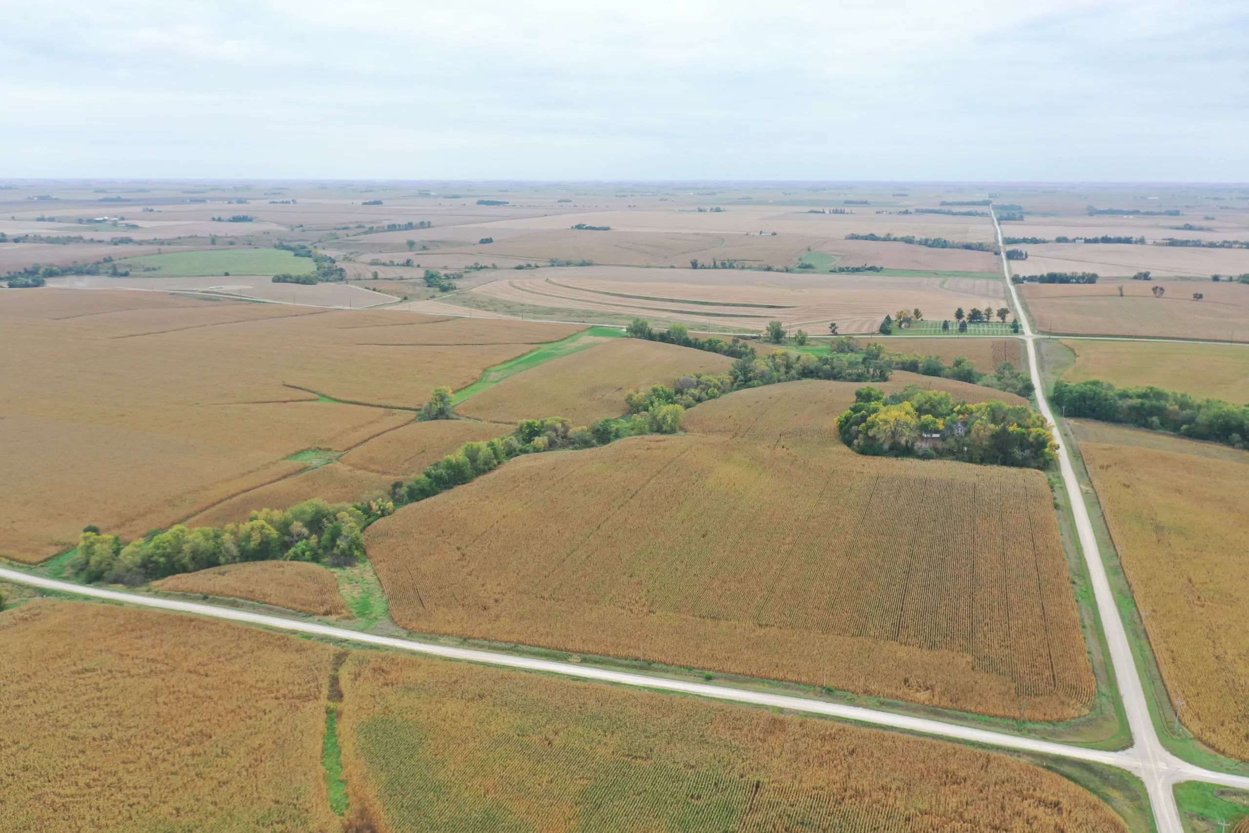 auctions-land-grundy-county-iowa-71-acres-listing-number-15798-DJI_0538-2.webp