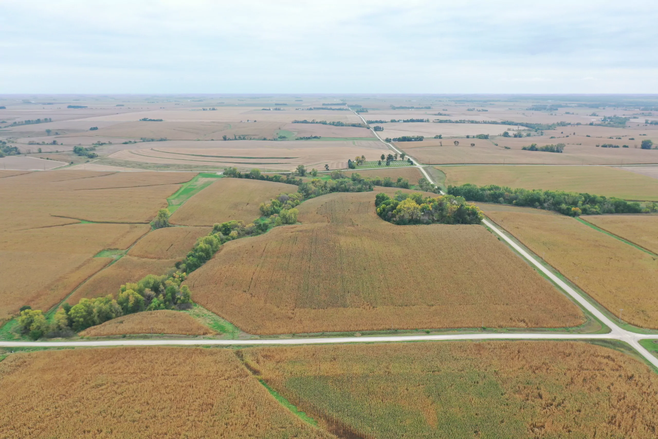 auctions-land-grundy-county-iowa-71-acres-listing-number-15798-DJI_0540-3.webp
