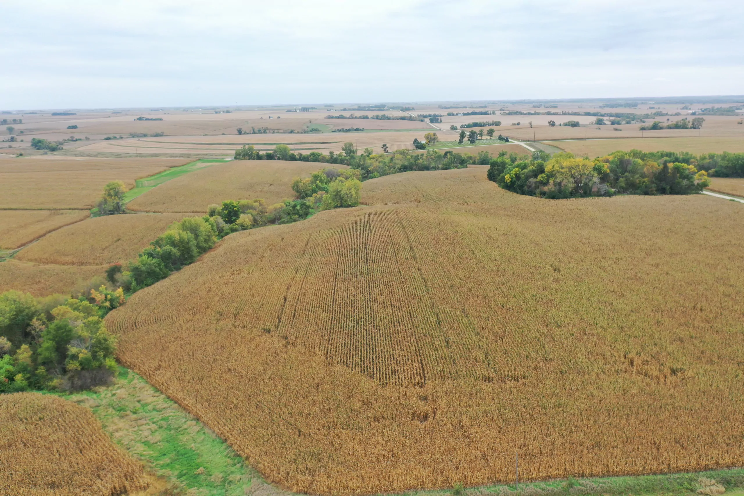 auctions-land-grundy-county-iowa-71-acres-listing-number-15798-DJI_0542-0.webp