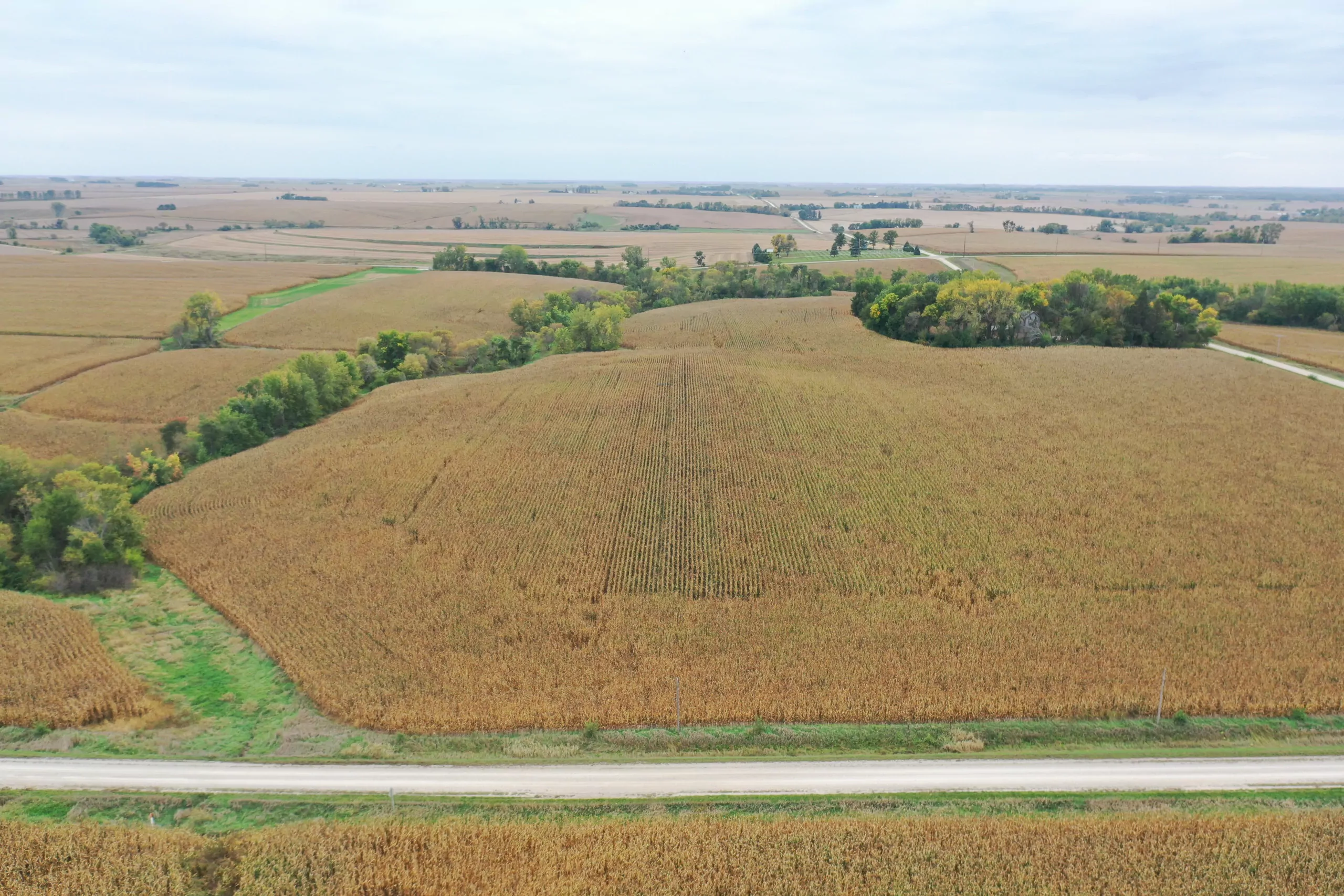 auctions-land-grundy-county-iowa-71-acres-listing-number-15798-DJI_0543-1.webp