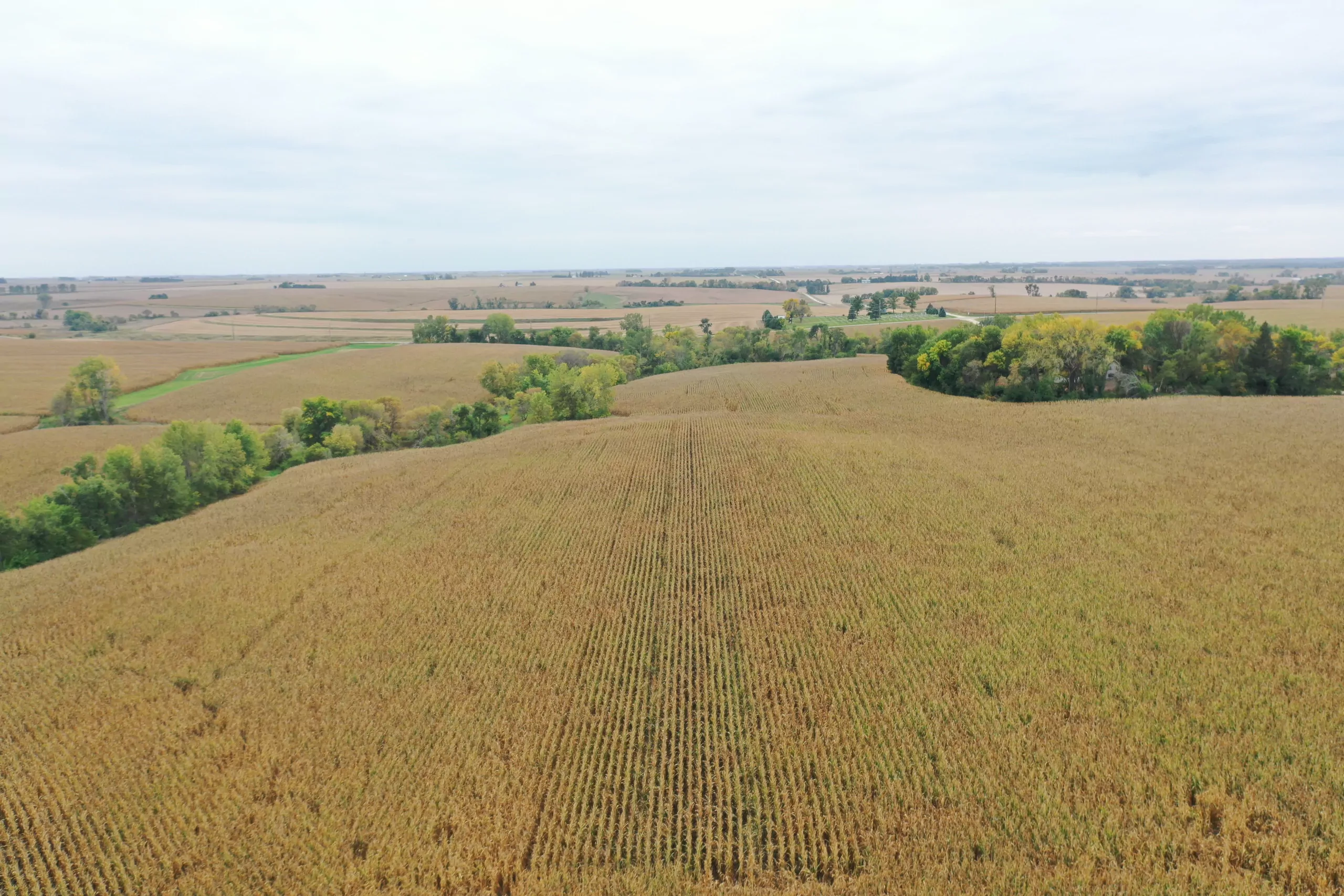 auctions-land-grundy-county-iowa-71-acres-listing-number-15798-DJI_0544-2.webp