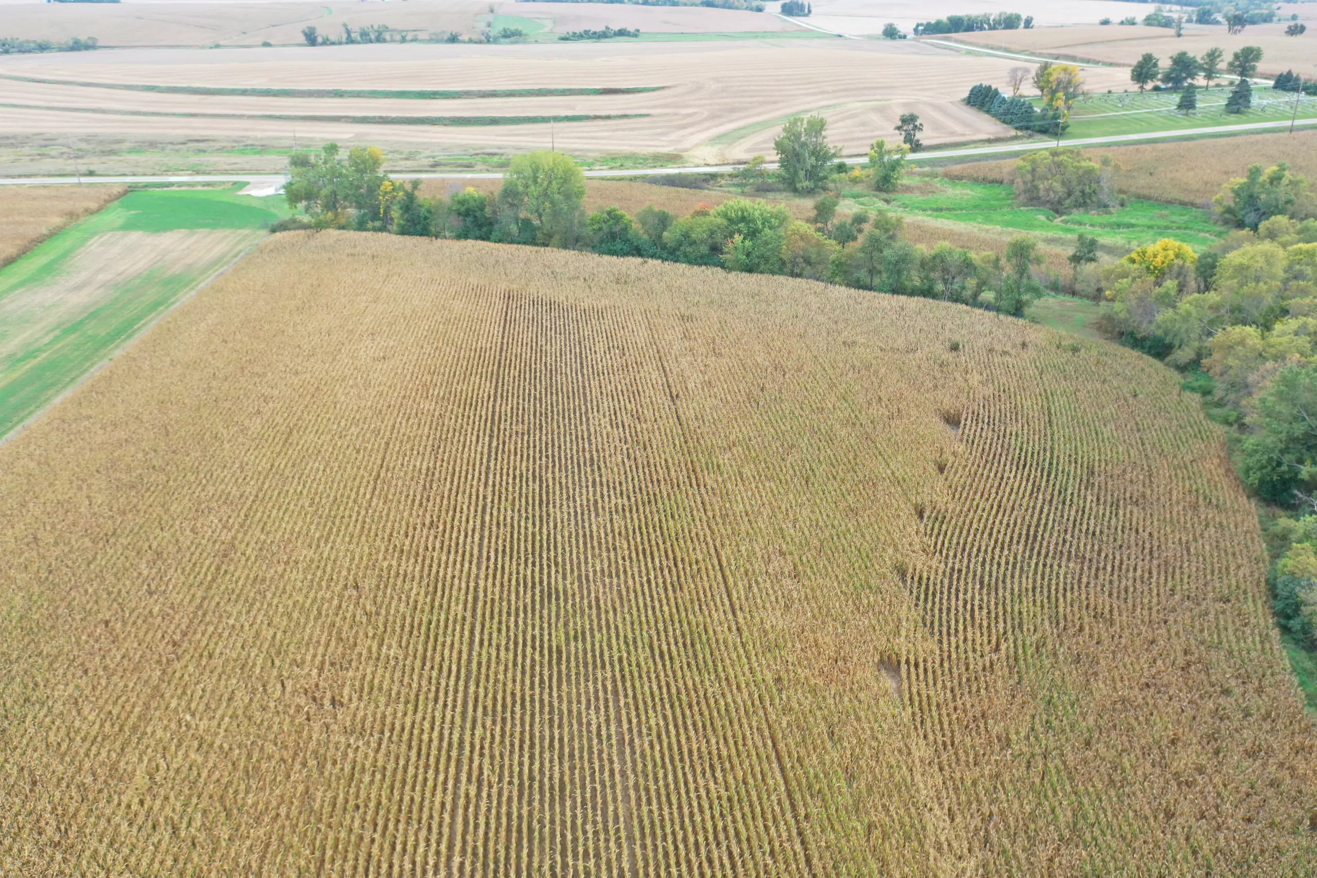 auctions-land-grundy-county-iowa-71-acres-listing-number-15798-DJI_0547-2.webp