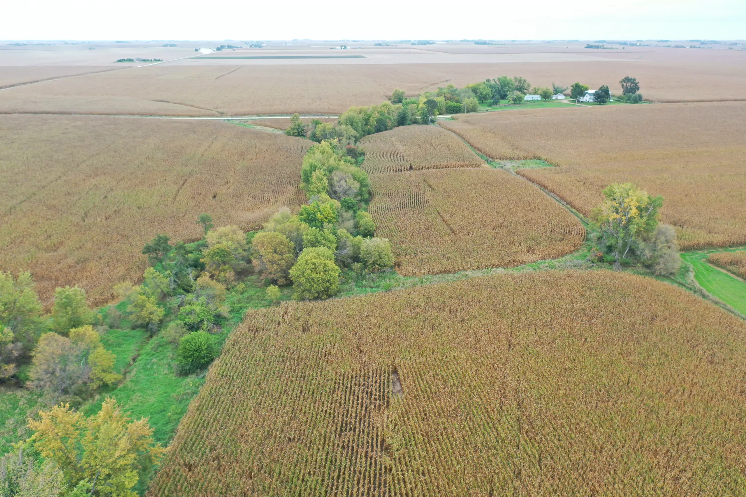 auctions-land-grundy-county-iowa-71-acres-listing-number-15798-DJI_0548-0.webp
