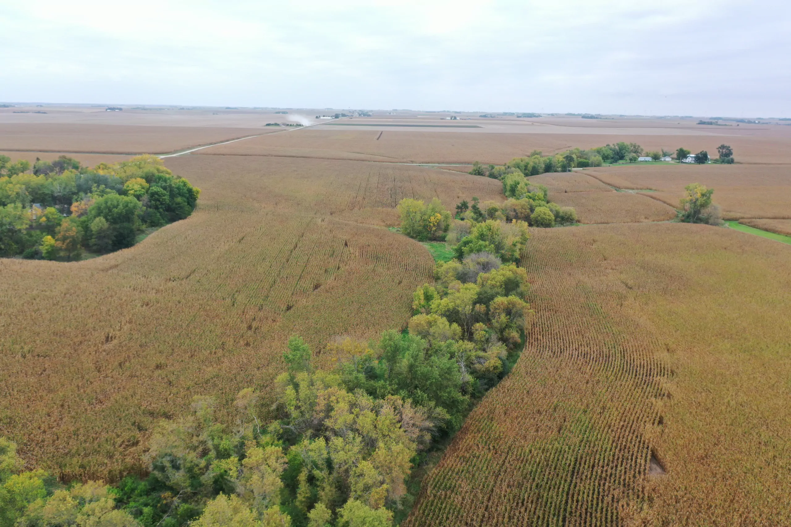 auctions-land-grundy-county-iowa-71-acres-listing-number-15798-DJI_0551-1.webp