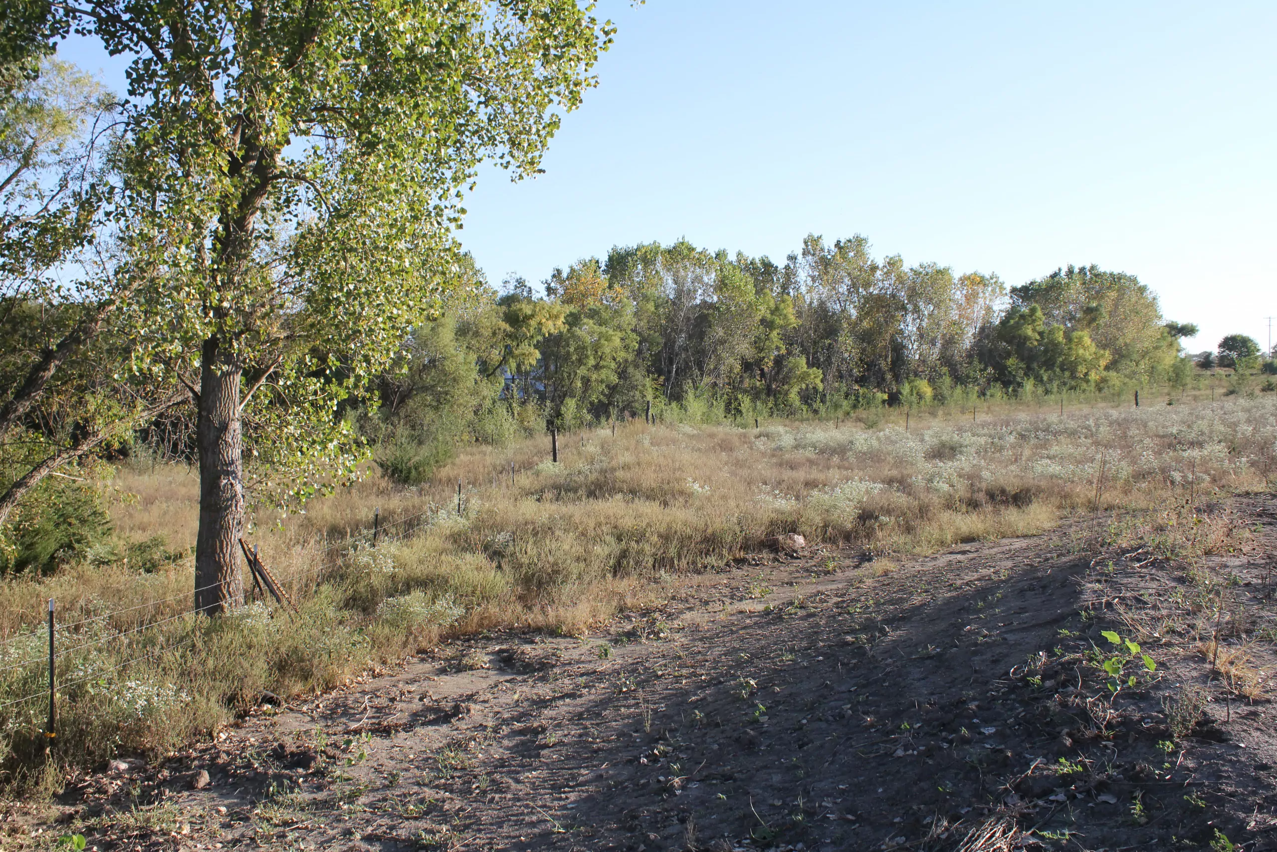 residential-land-pawnee-county-nebraska-20-acres-listing-number-15803-IMG_2155-3.webp