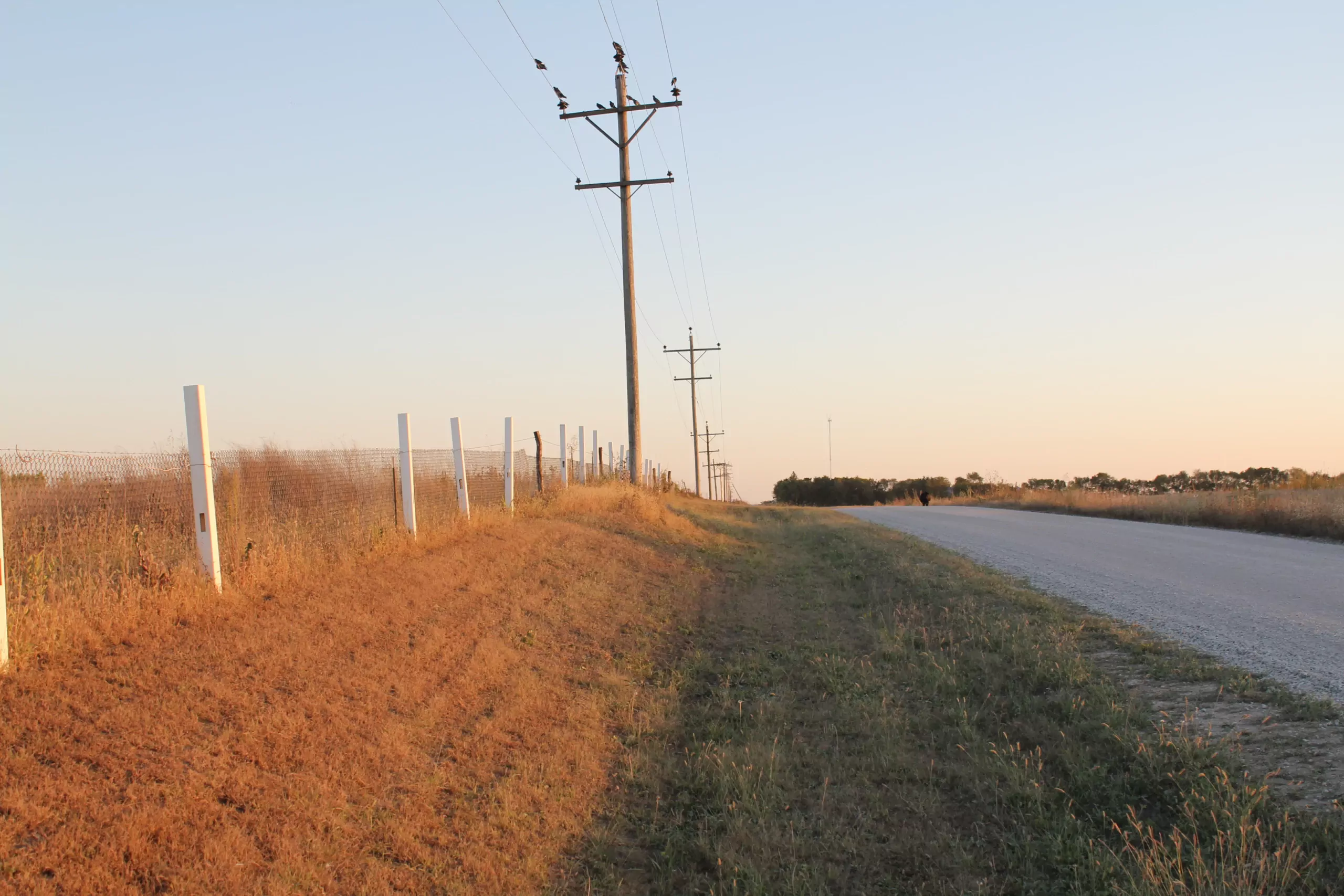 residential-land-pawnee-county-nebraska-20-acres-listing-number-15803-IMG_2169-2.webp