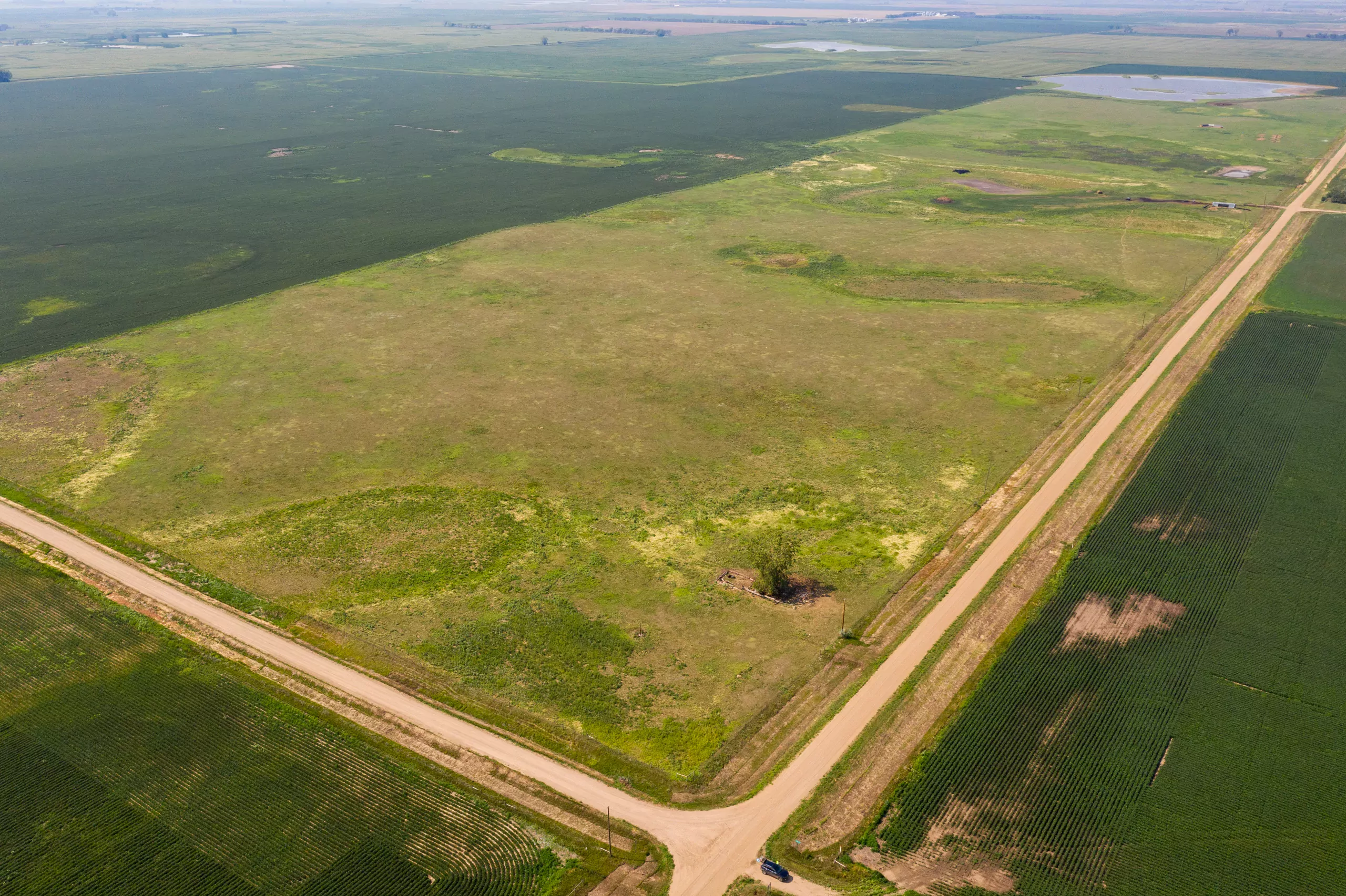 land-beadle-county-south-dakota-155-acres-listing-number-15807-DJI_0999-1.webp