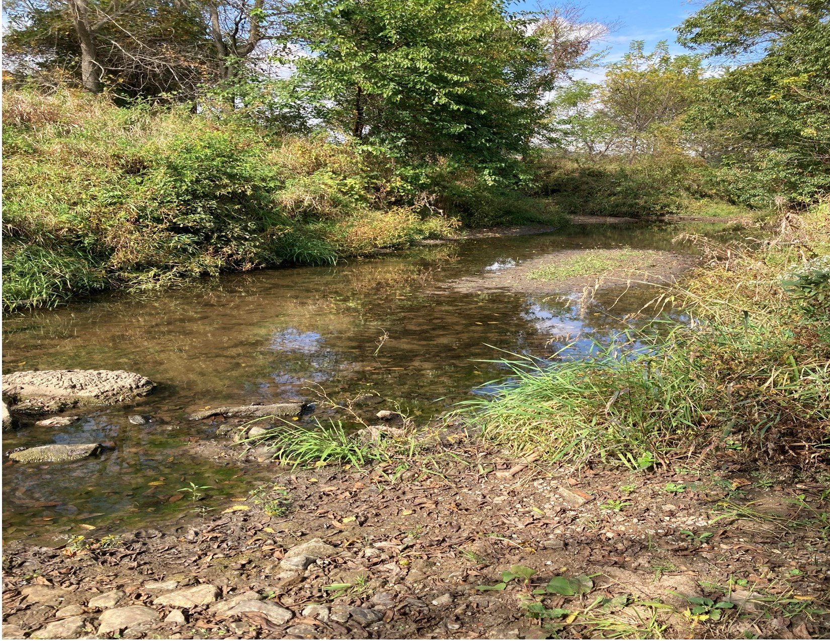 land-warren-county-iowa-200-acres-listing-number-15810-Creek-1.jpg