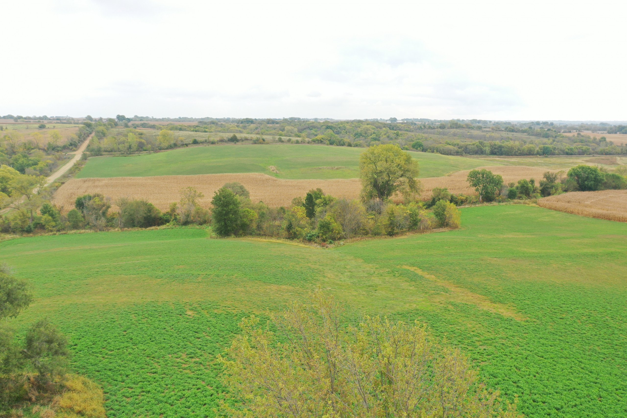 land-warren-county-iowa-200-acres-listing-number-15810-DJI_0559-0.jpg