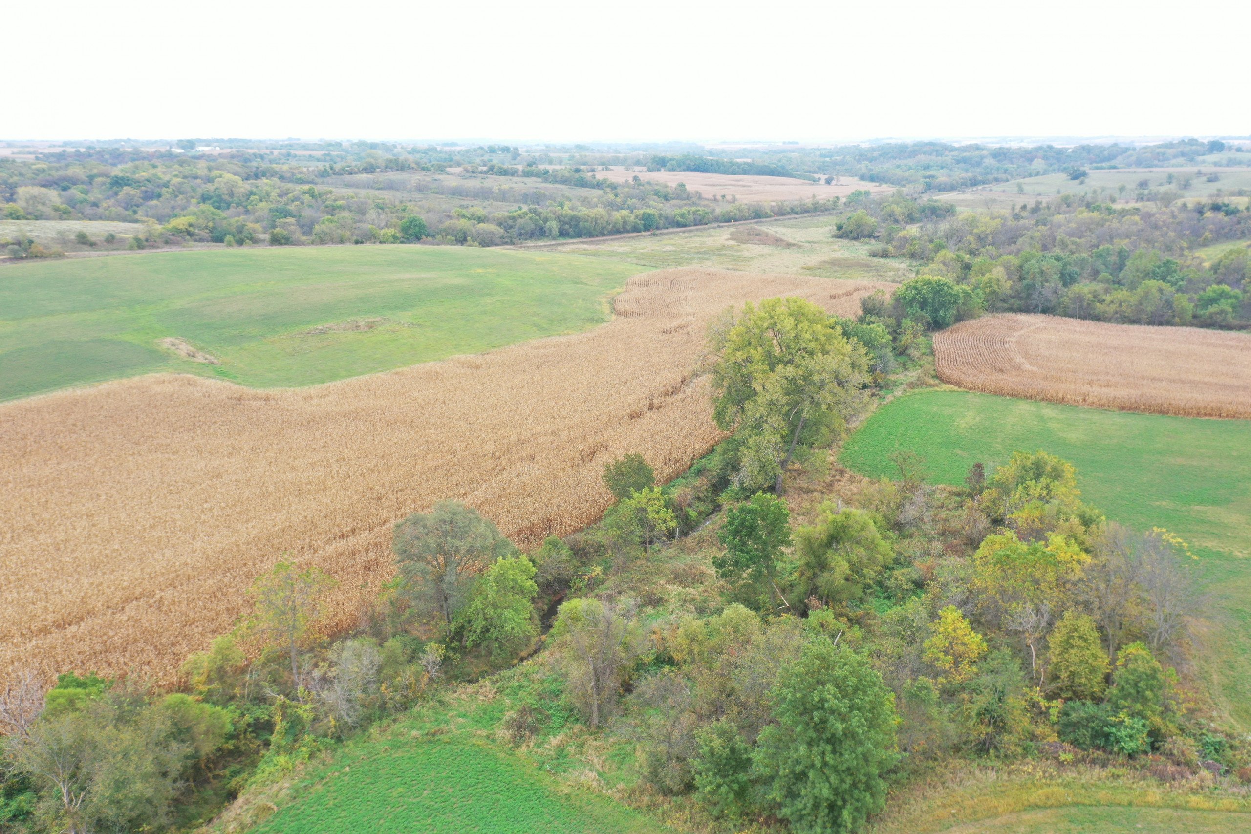 land-warren-county-iowa-200-acres-listing-number-15810-DJI_0561-1.jpg