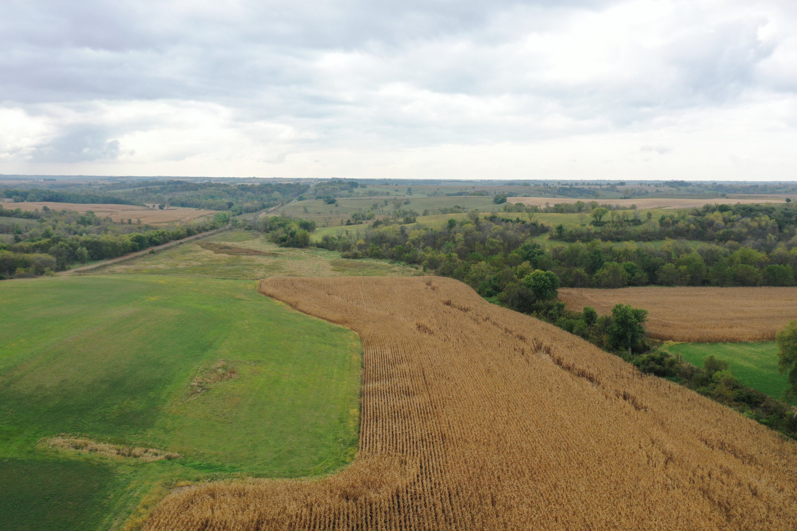 land-warren-county-iowa-200-acres-listing-number-15810-DJI_0578-1.jpg